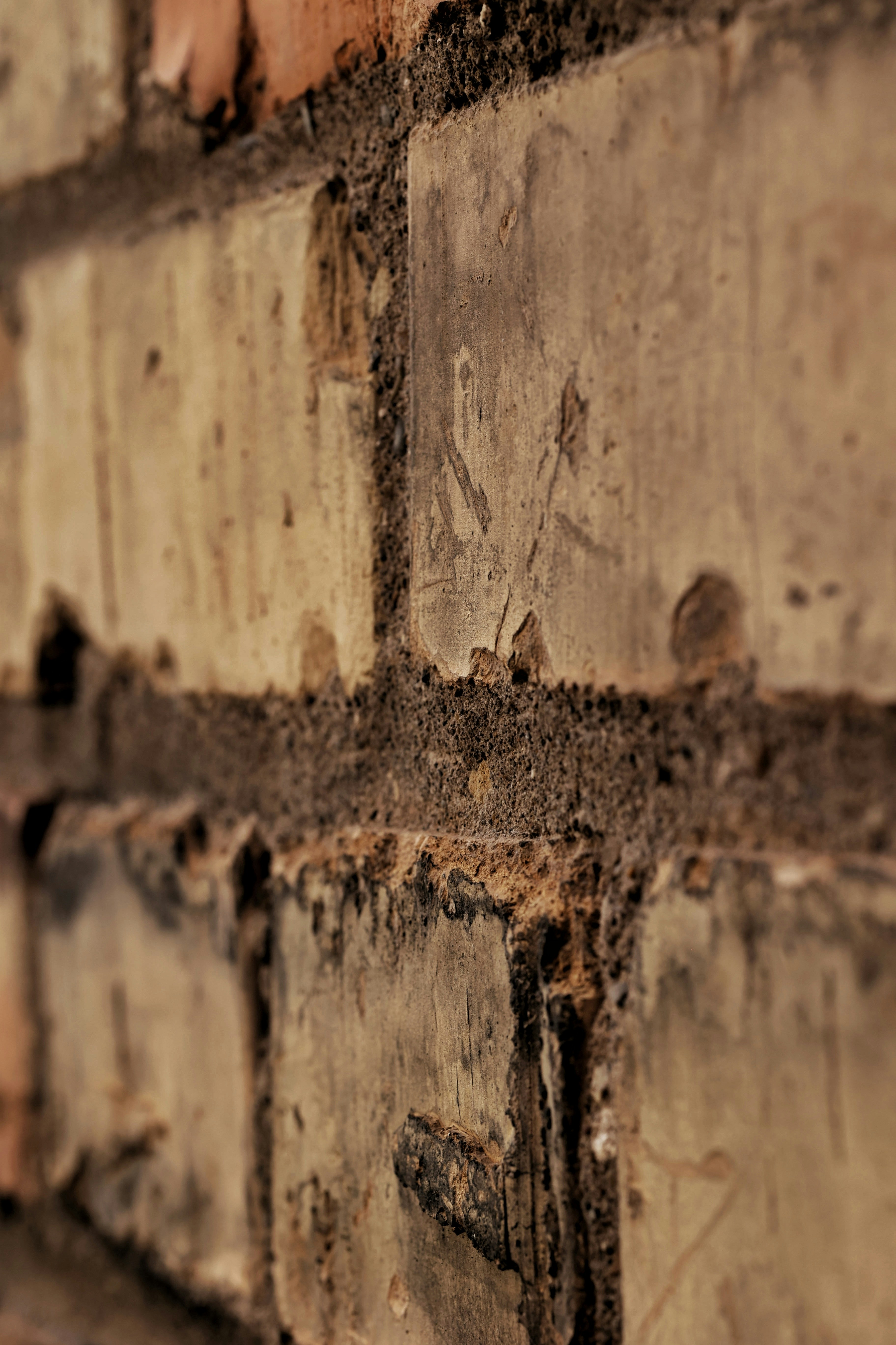 Photo by joshua_hoehne