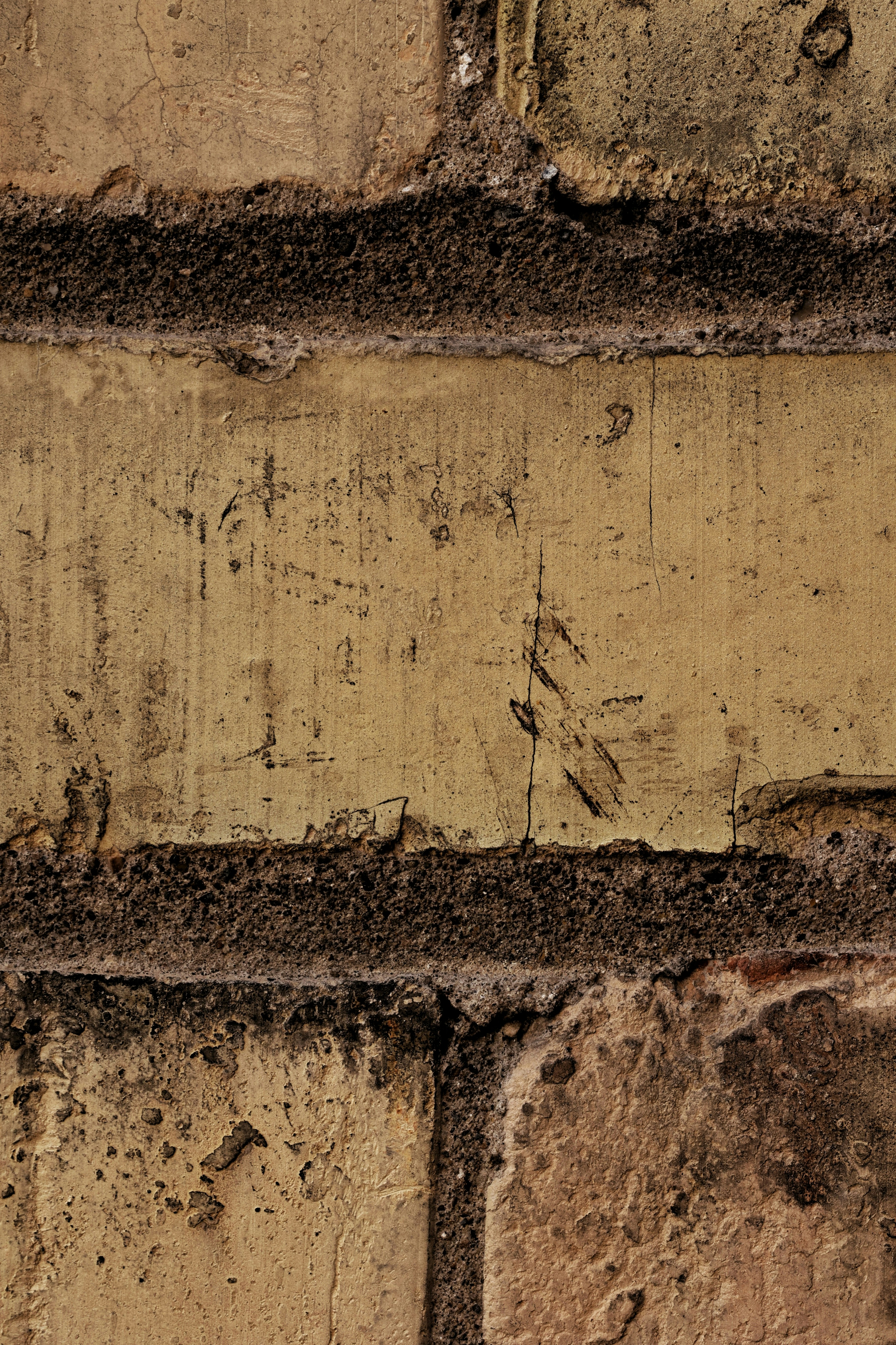 Photo by joshua_hoehne