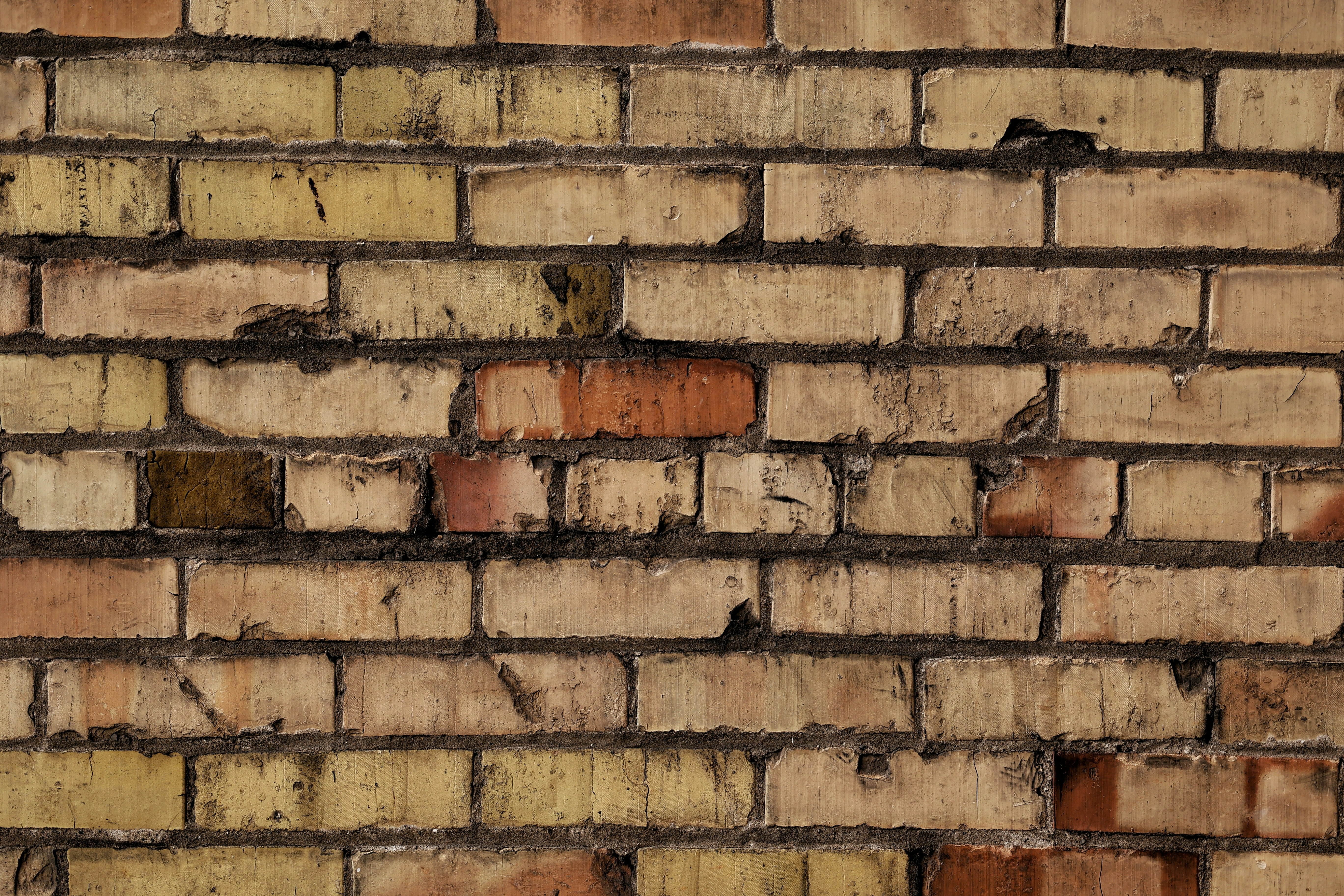 Photo by joshua_hoehne