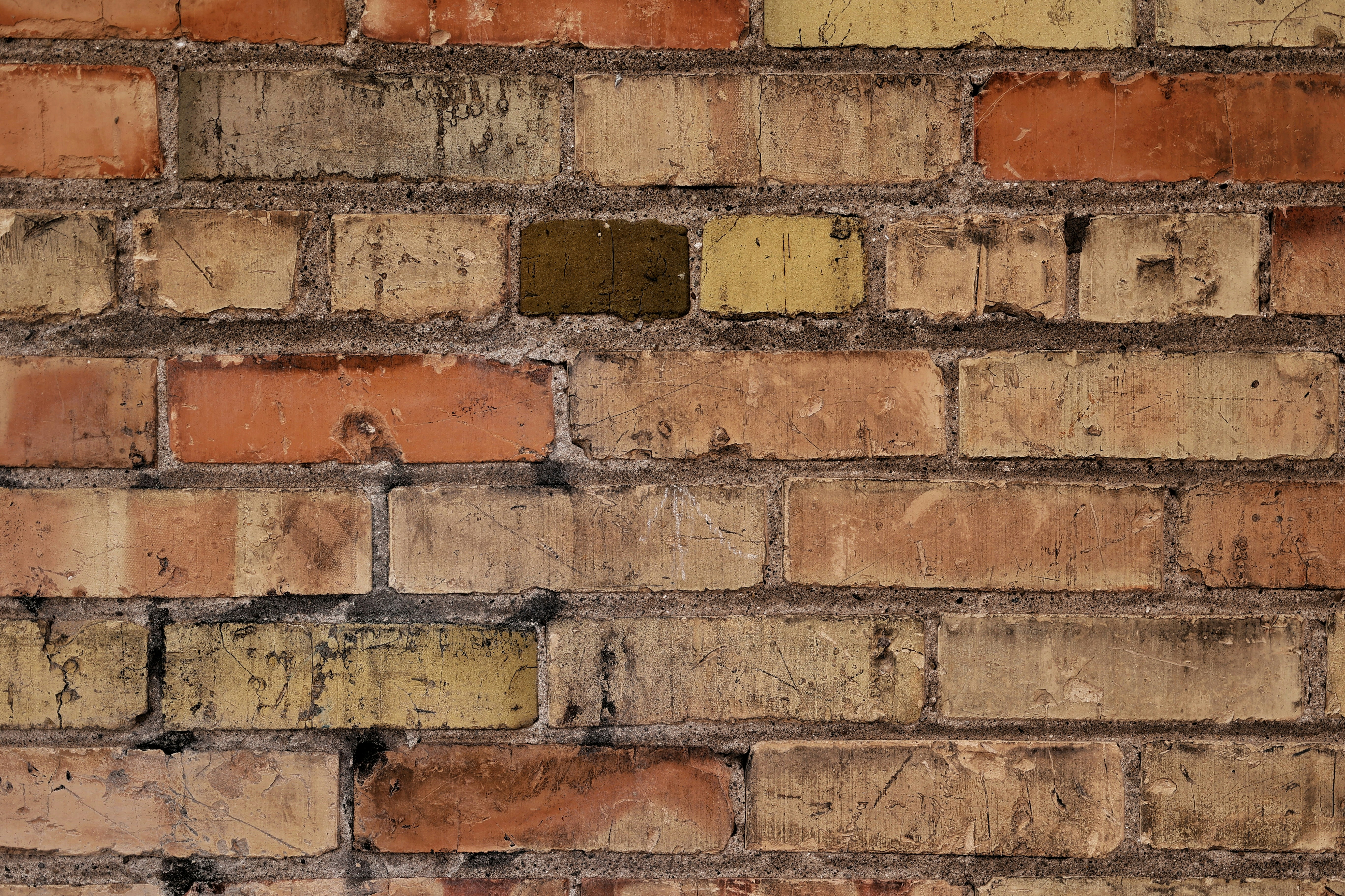 Photo by joshua_hoehne