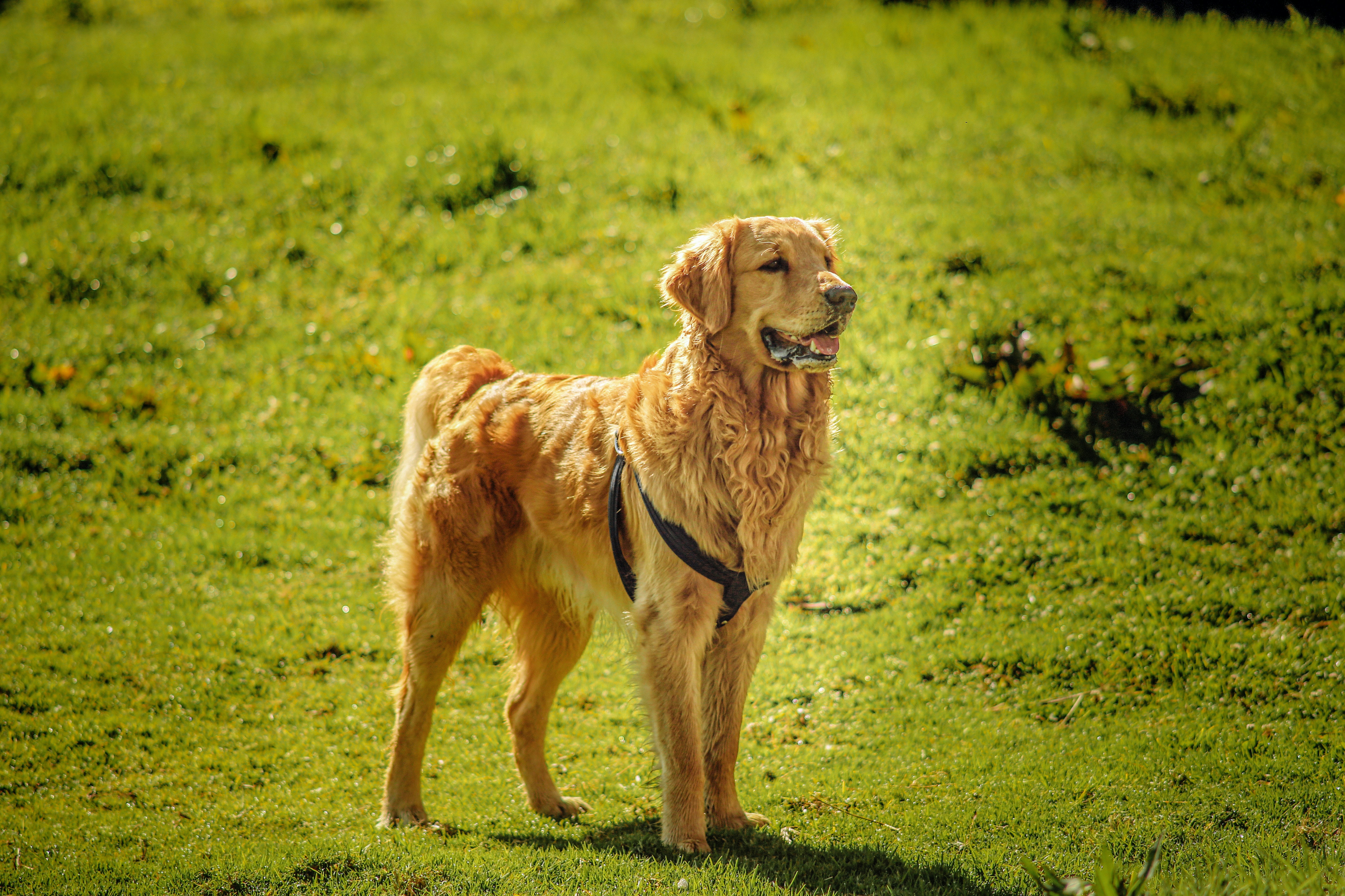 Photo by faberleonardo