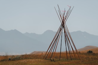 a tall metal tower in a field