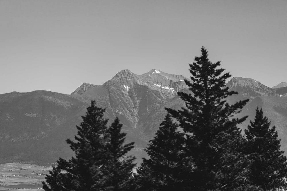 a snowy mountain with trees