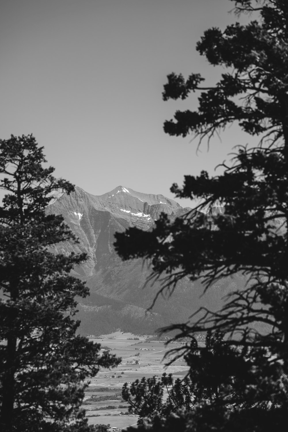 a snowy mountain with trees