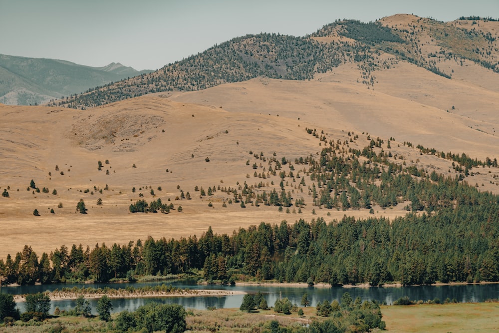 a lake with trees and hills in the background