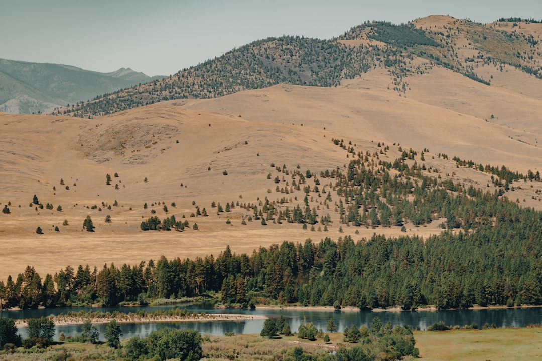 a lake with trees and hills in the background,