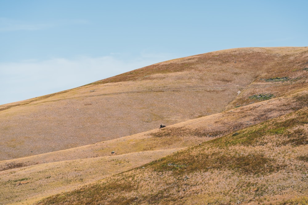 a grassy hill with a dirt road