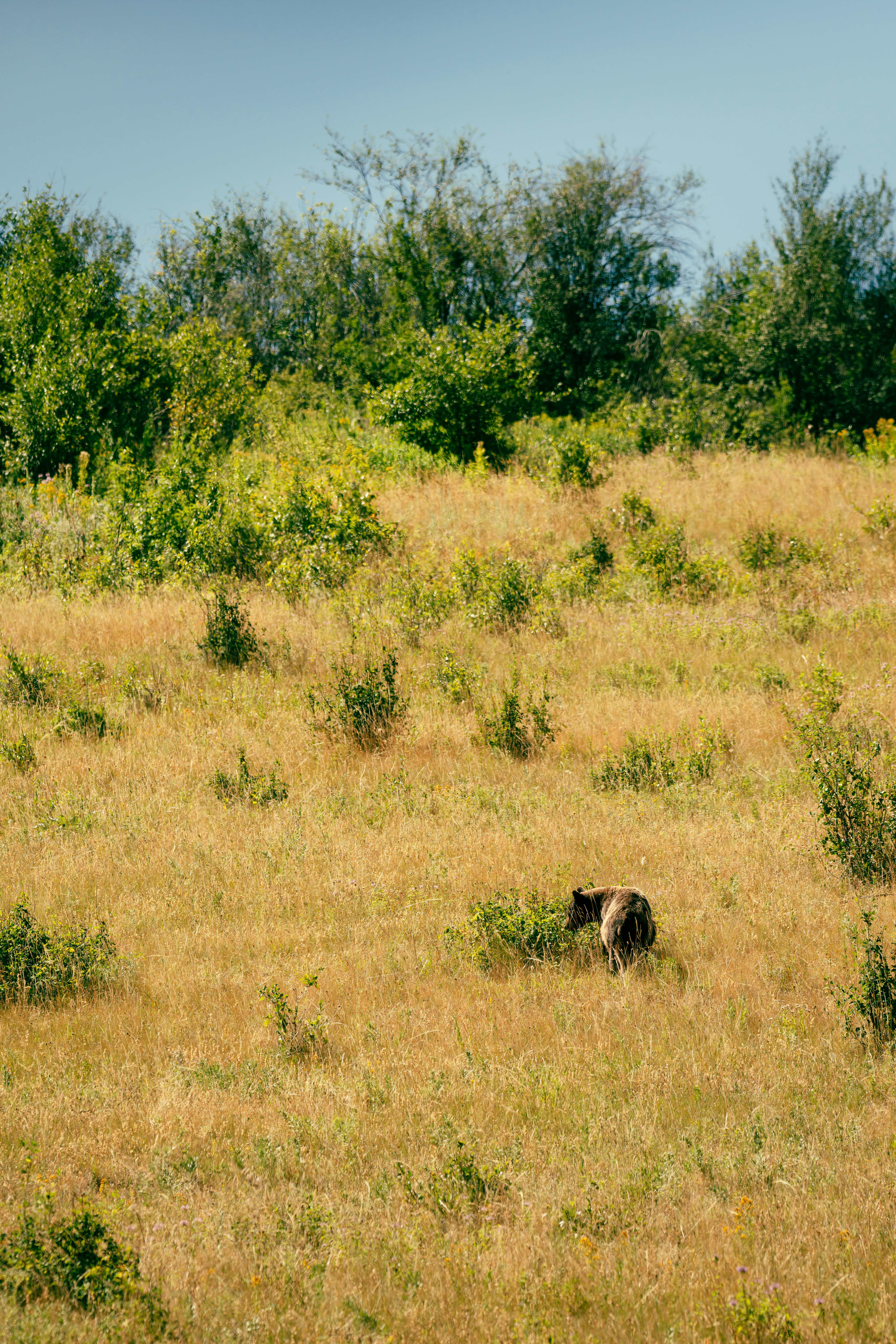 Photo by yohanmarion