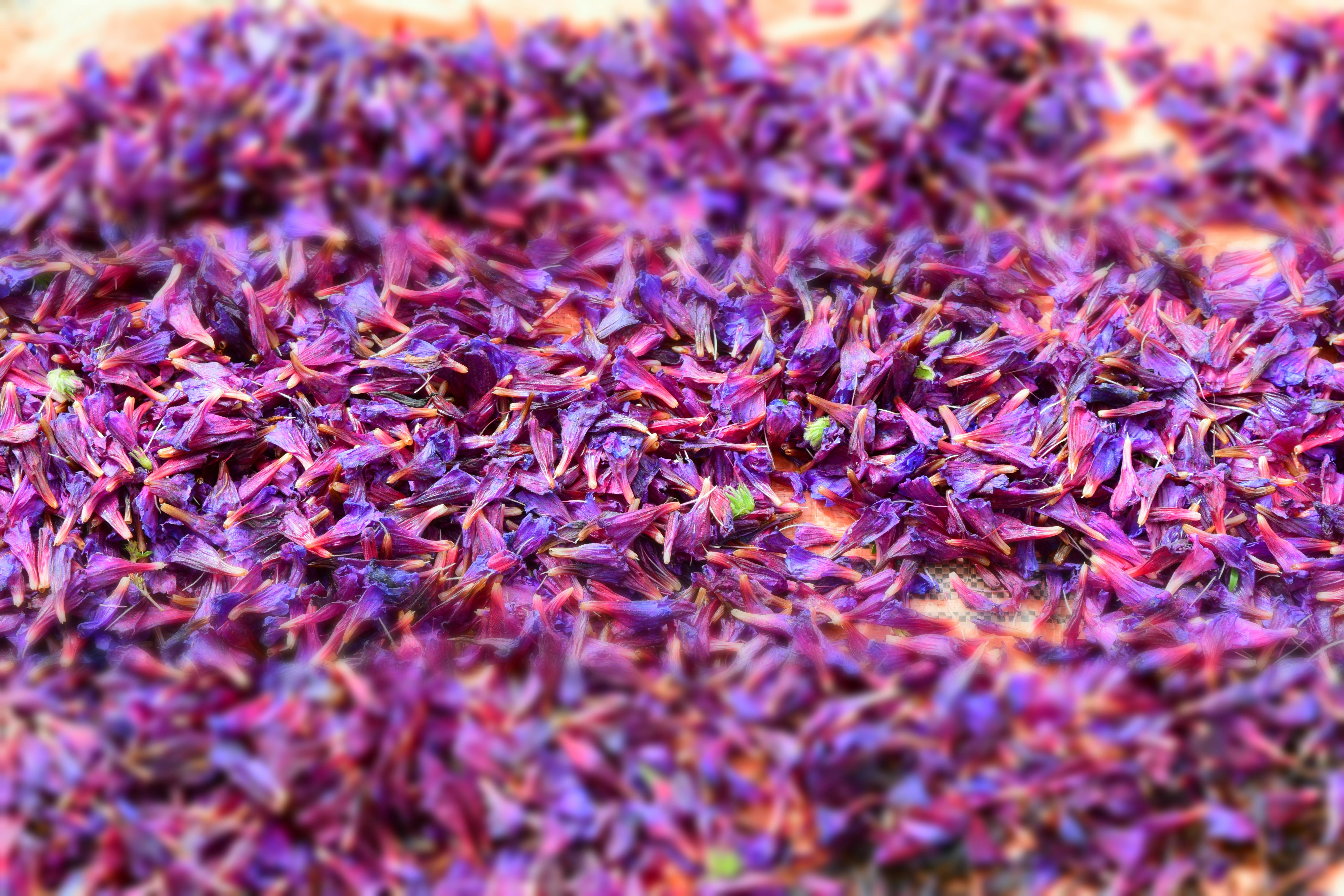 Photo by bluejasmine