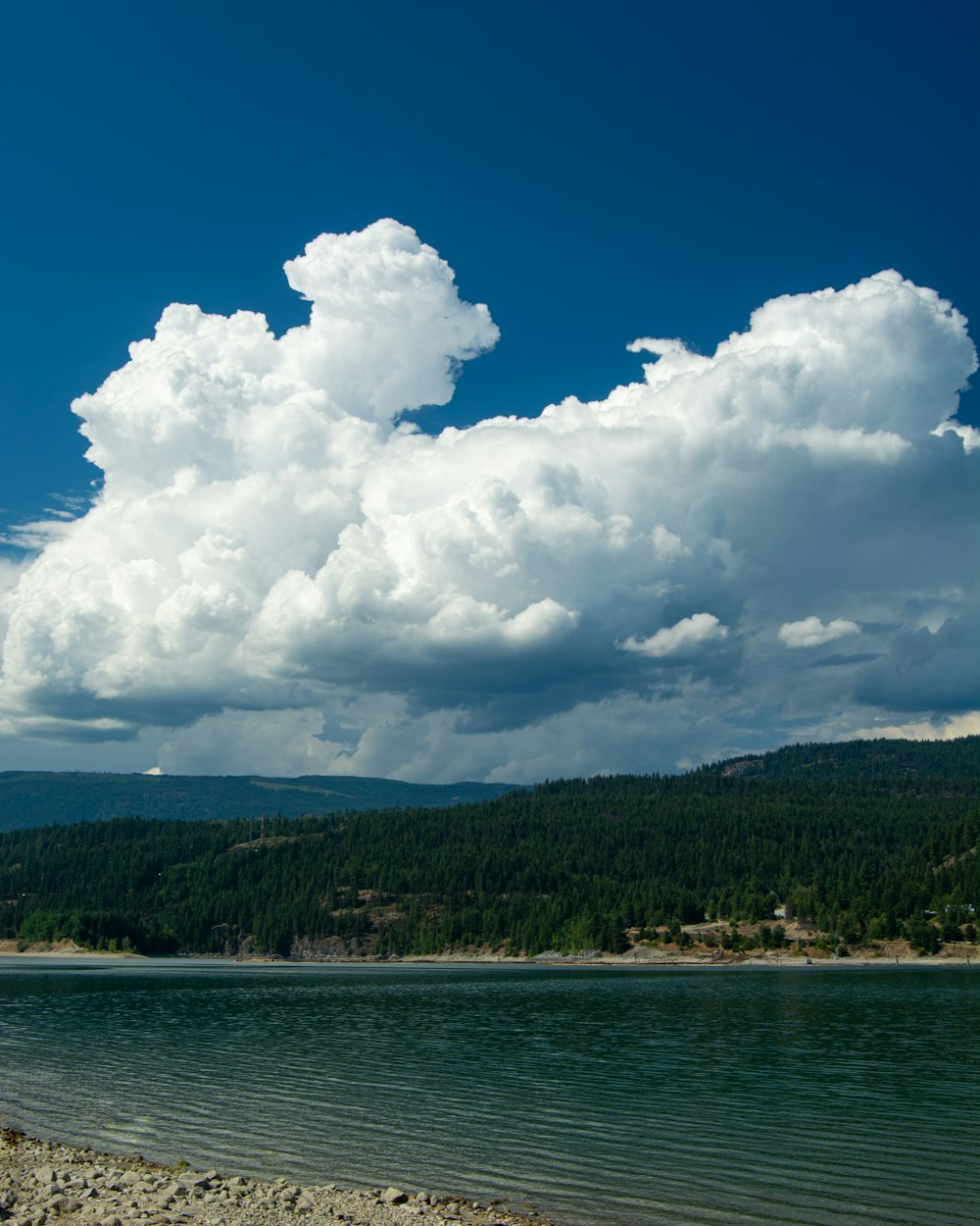 a body of water with trees and mountains in the background