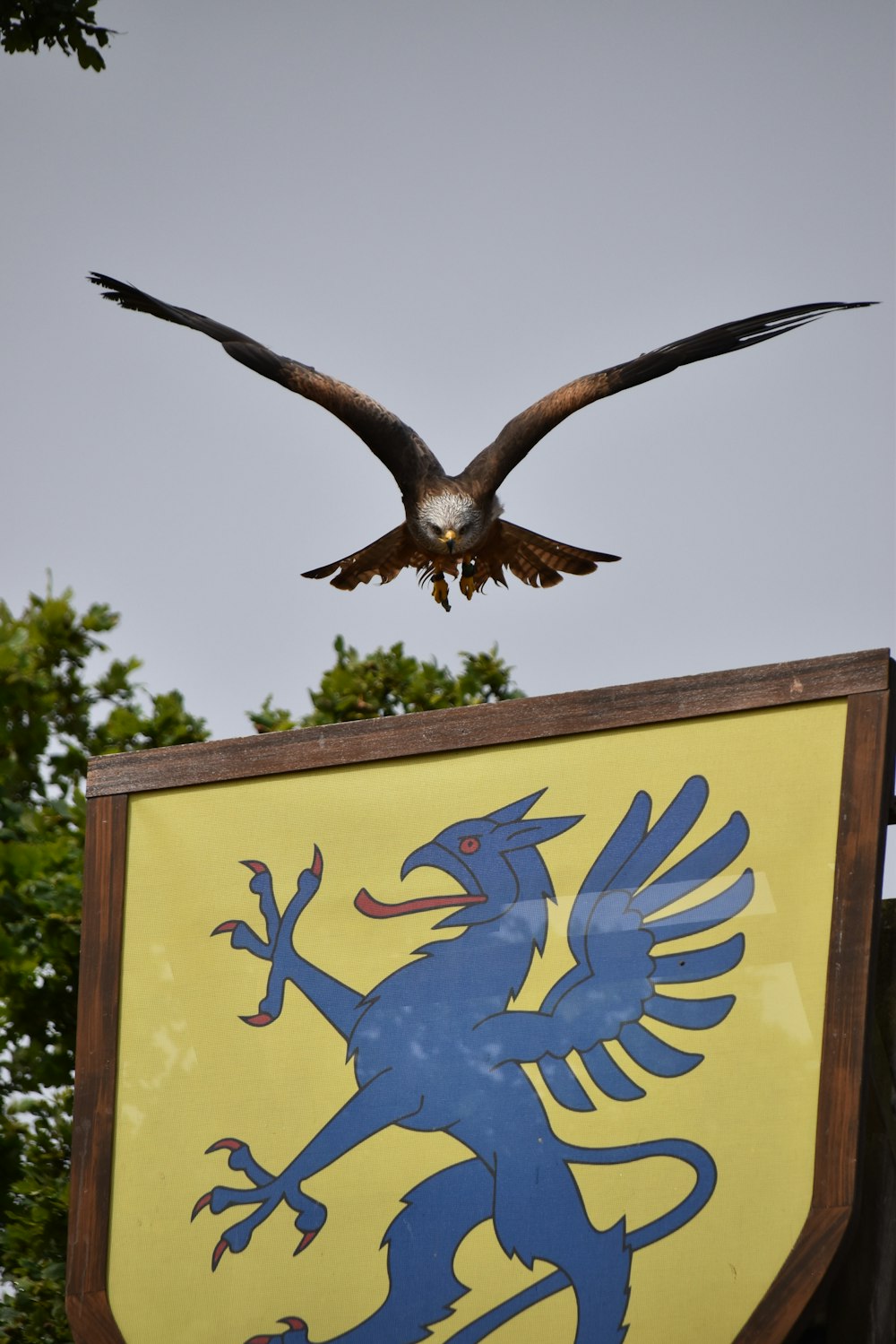 a bird flying over a sign