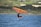 A person is engaged in wing foiling on a body of water, holding an orange wing and riding a hydrofoil board. The background features a shoreline with dense green vegetation.