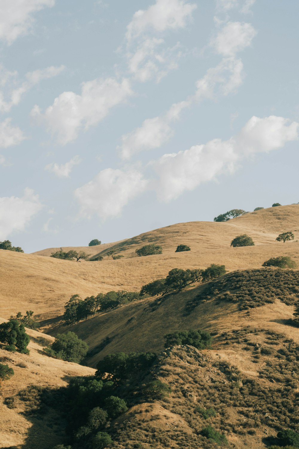 a landscape with hills and trees