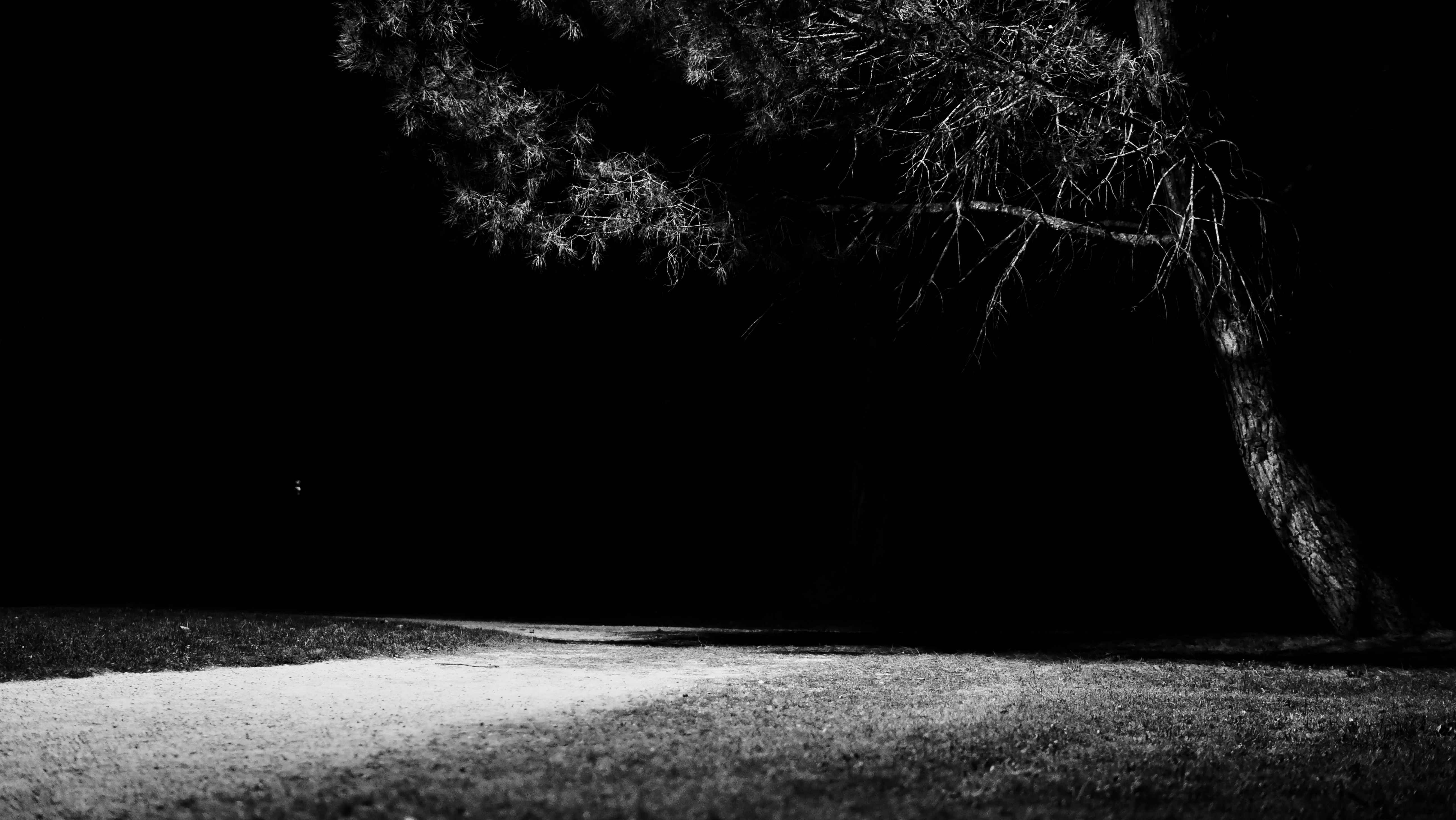 Photo by christiangafenesch