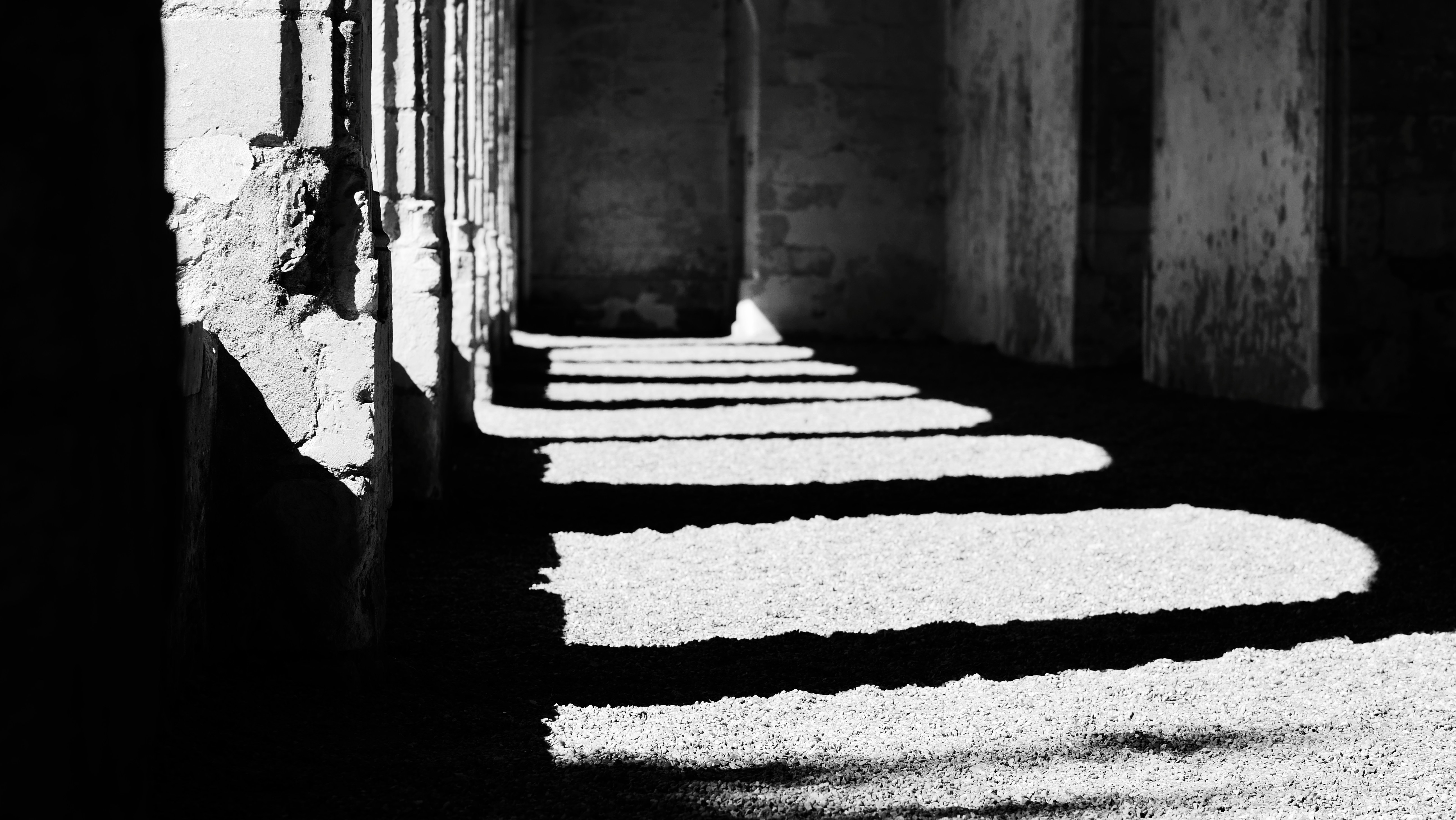 Photo by christiangafenesch