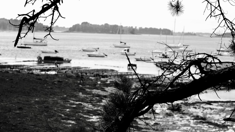 a body of water with boats in it