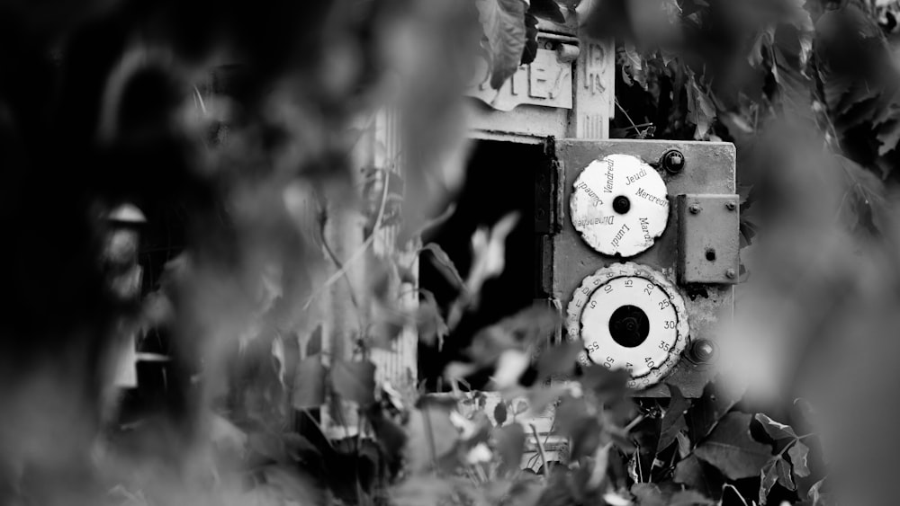 a black and white photo of a camera on a tree