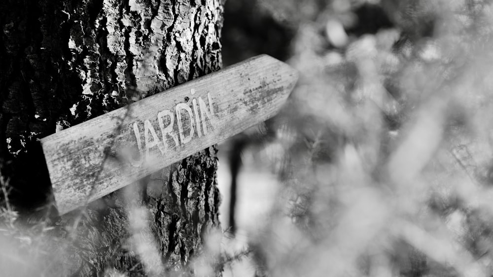 a sign on a tree