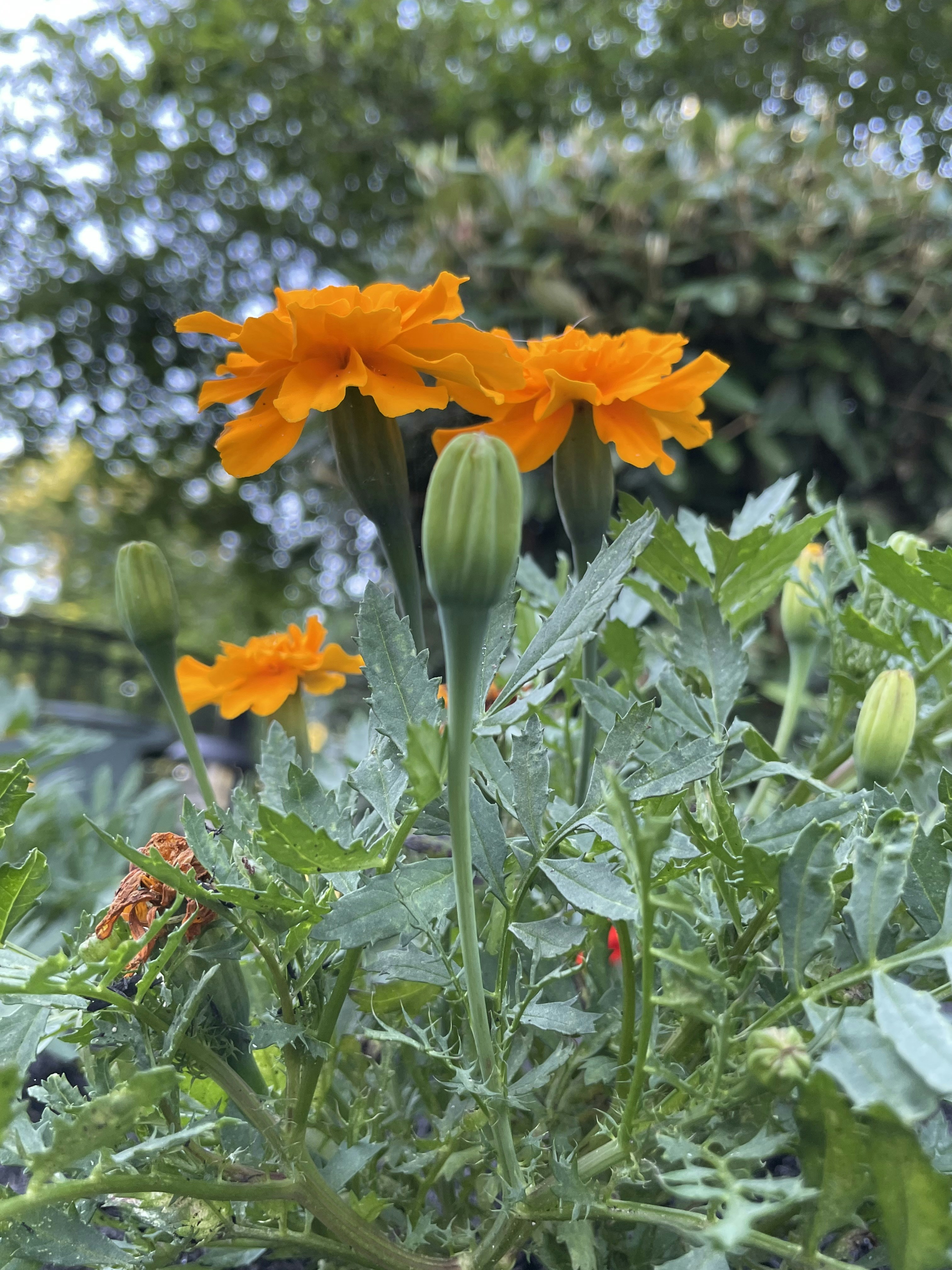 Photo by blanketklepto