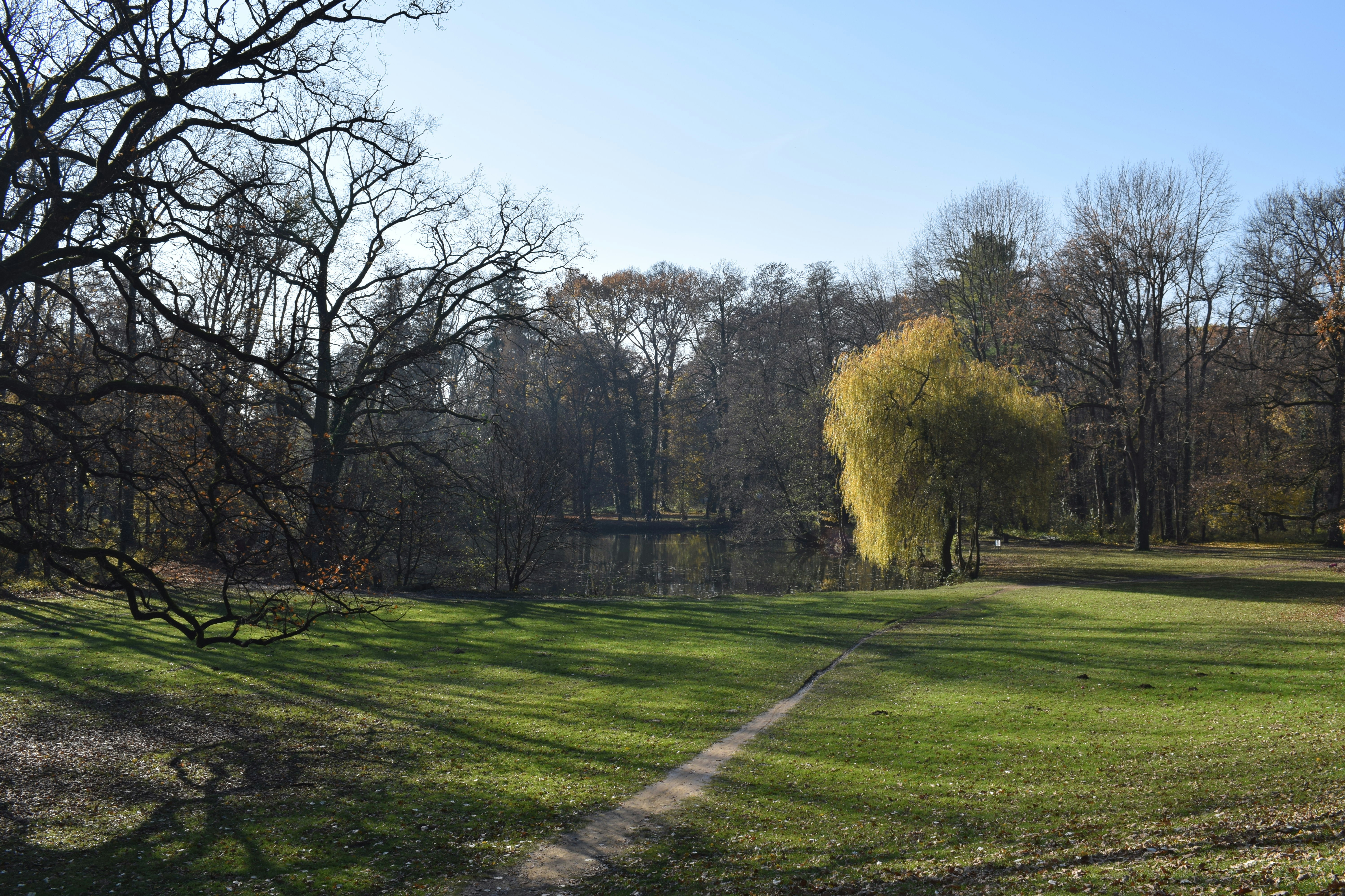 Photo by kristina001