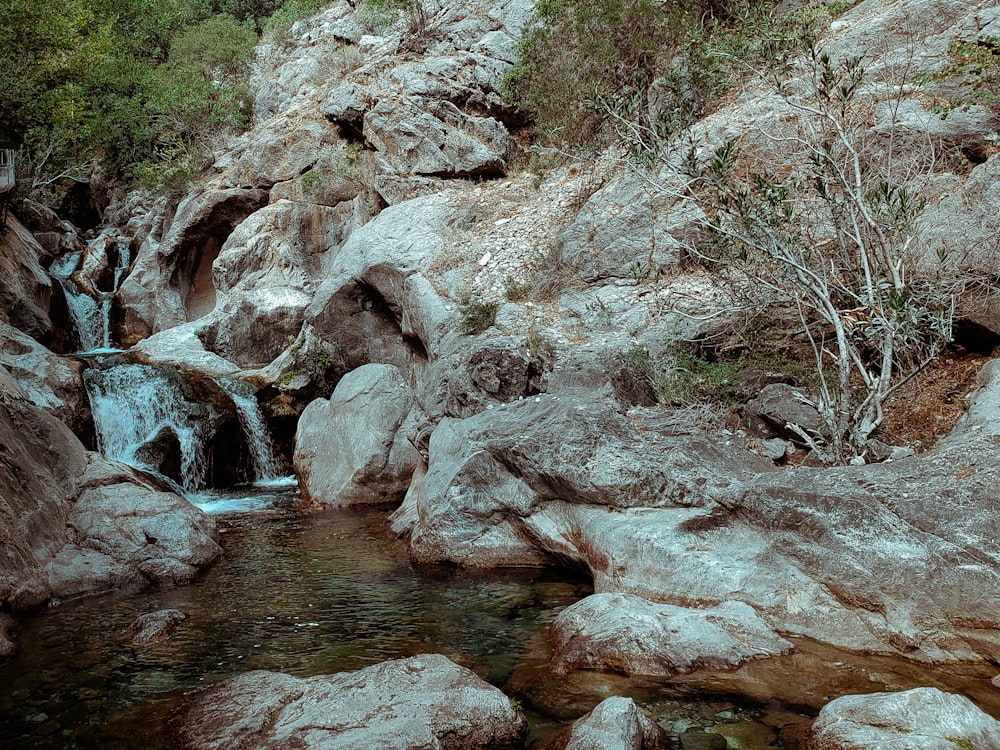 a river flowing through rocks