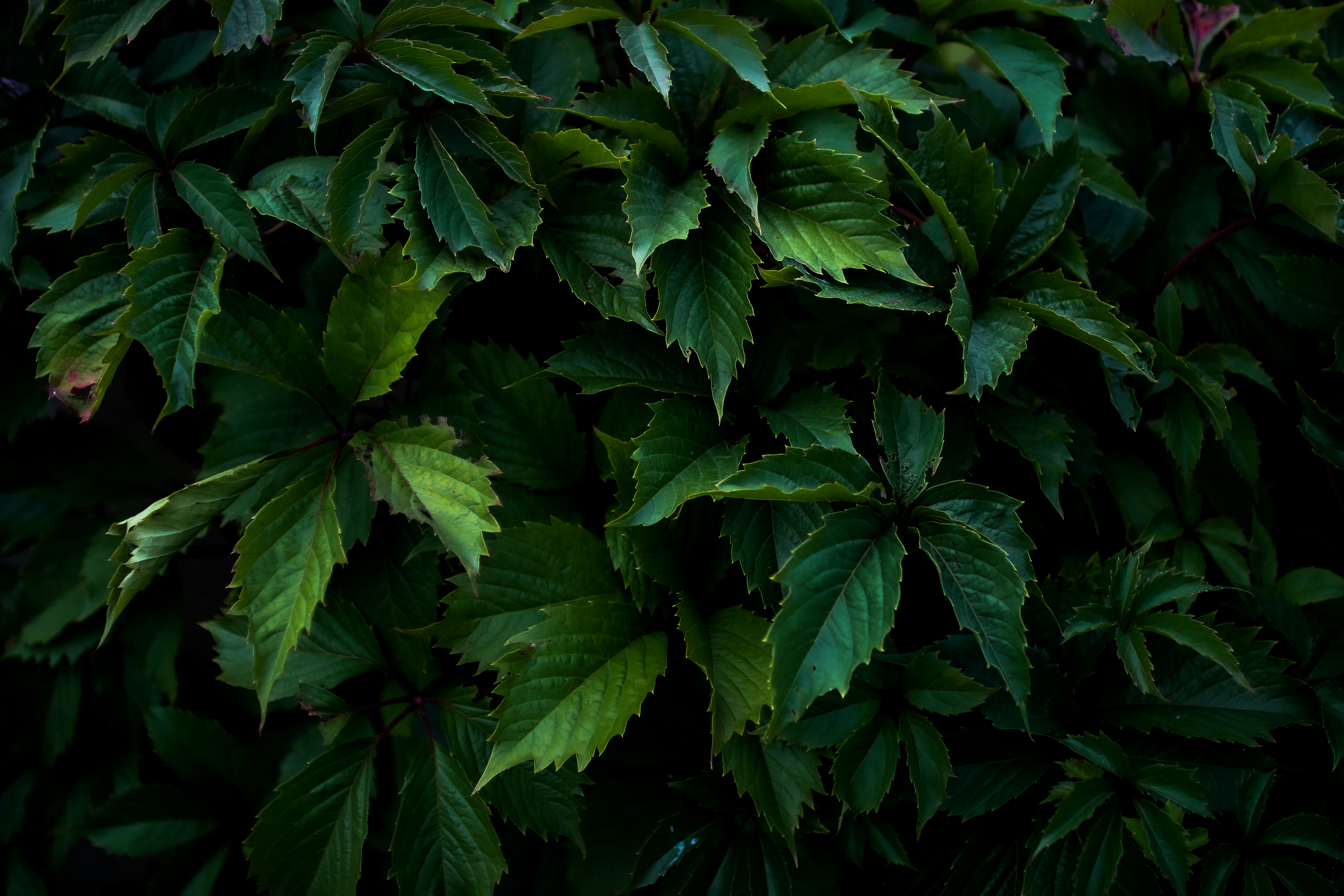 Photo by patrycja_chociej