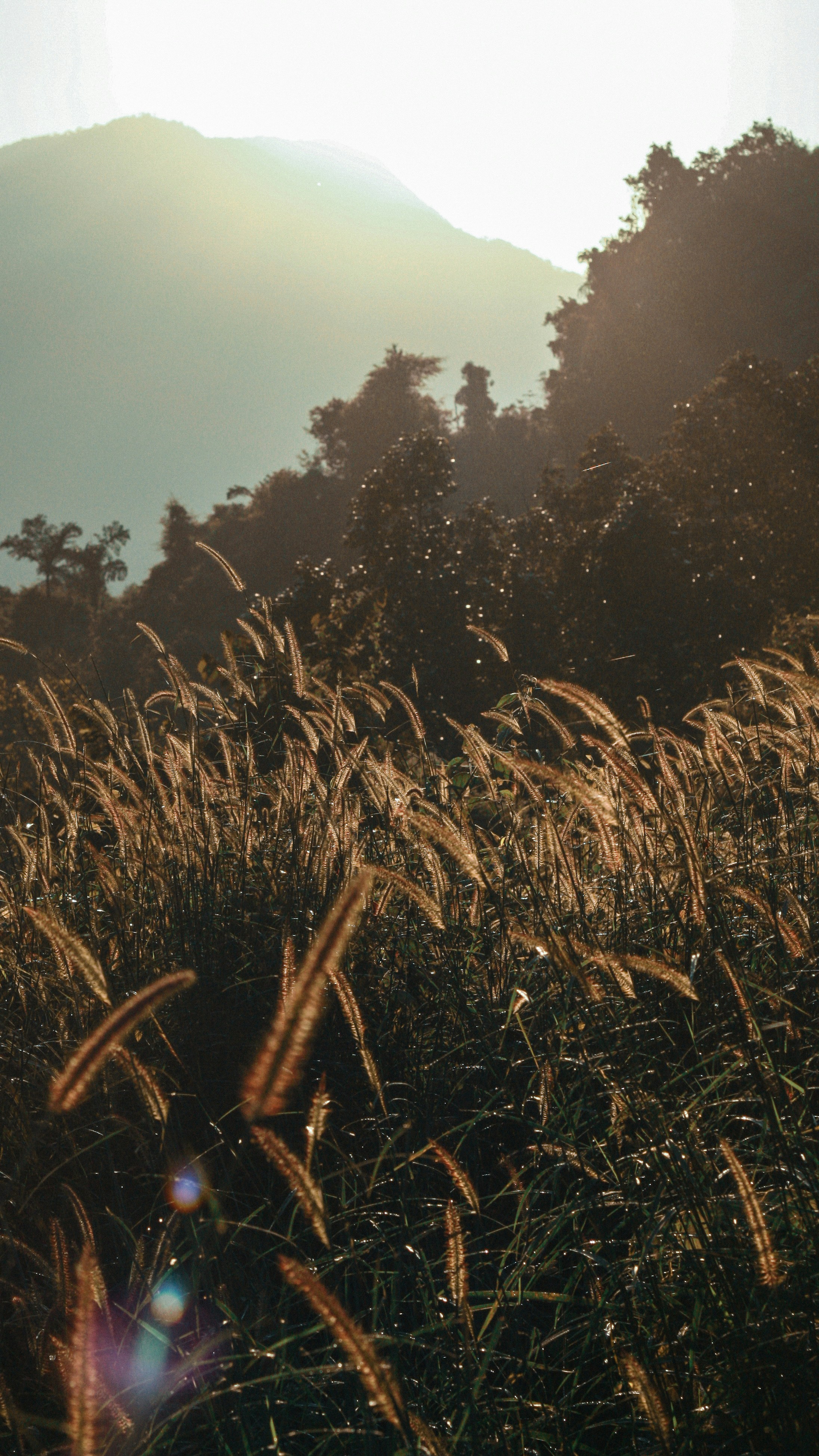 Photo by sameelstories