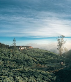a house on a hill