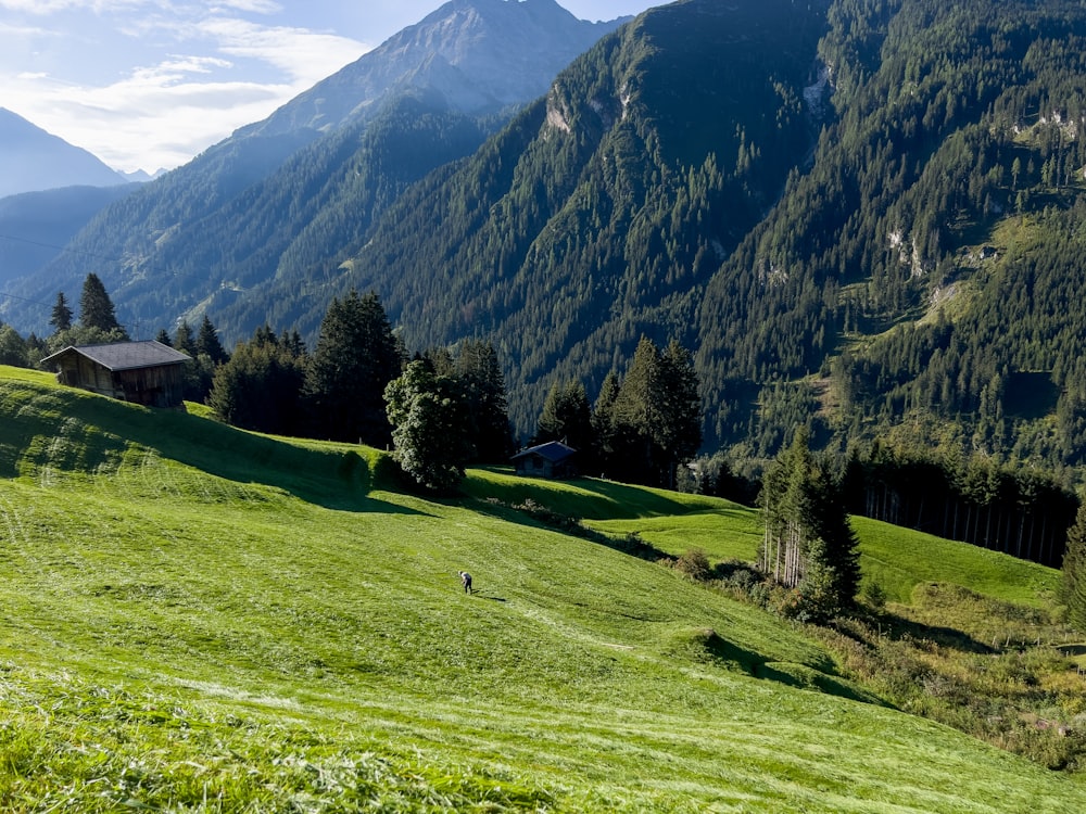 a house on a grassy hill