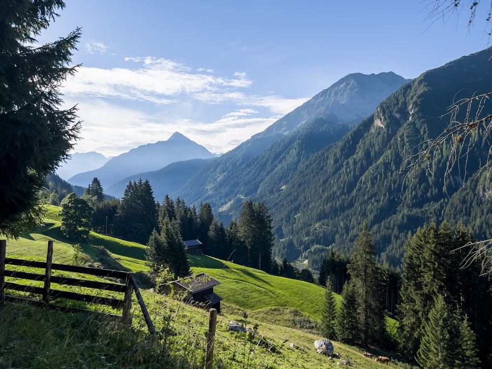 a fence and trees in front of a mountain