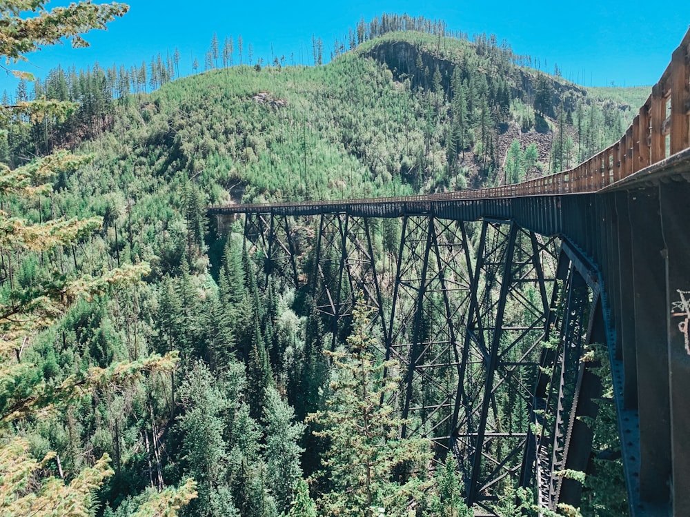 Un tren en un puente