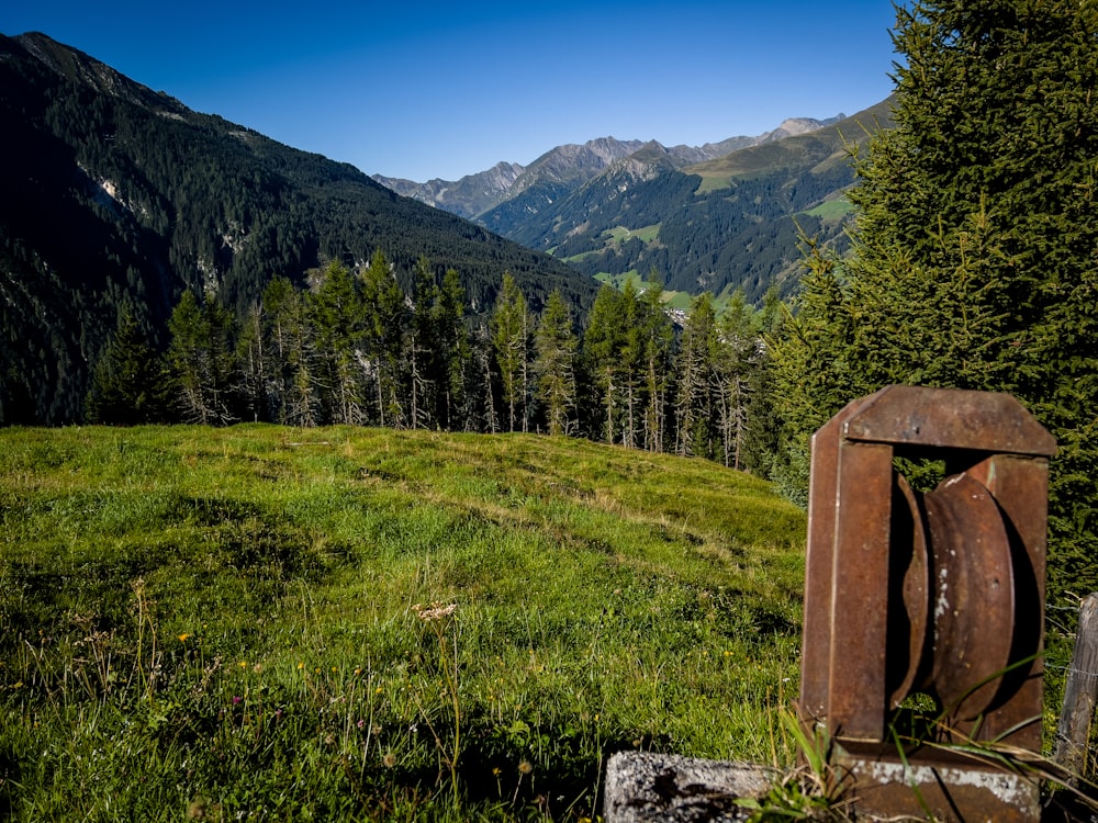 a grassy field with trees and mountains in the background