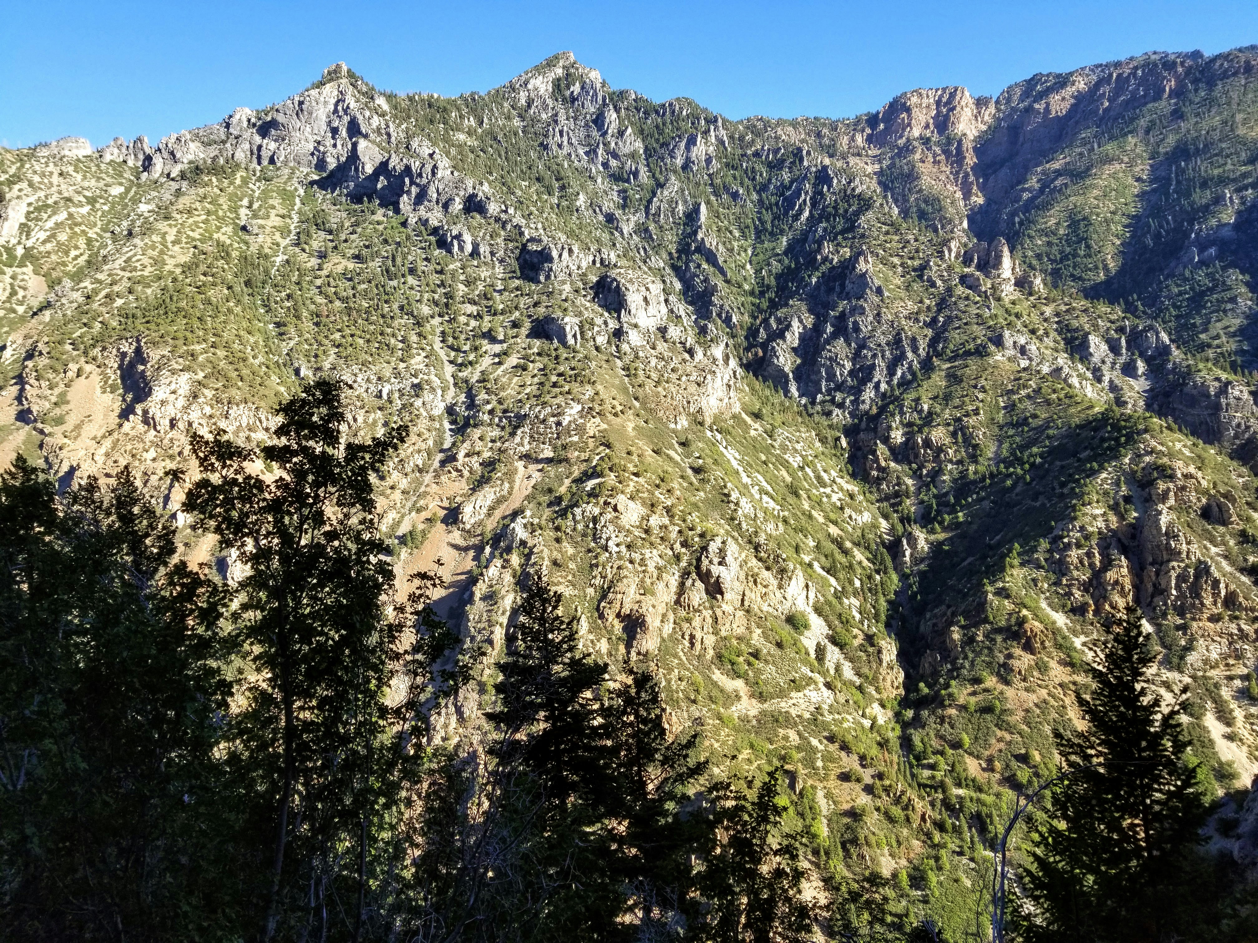 Photo by prphotography262