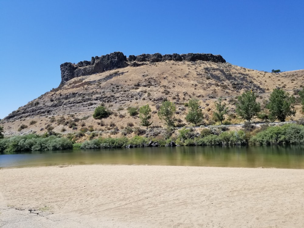 a hill with trees and water below