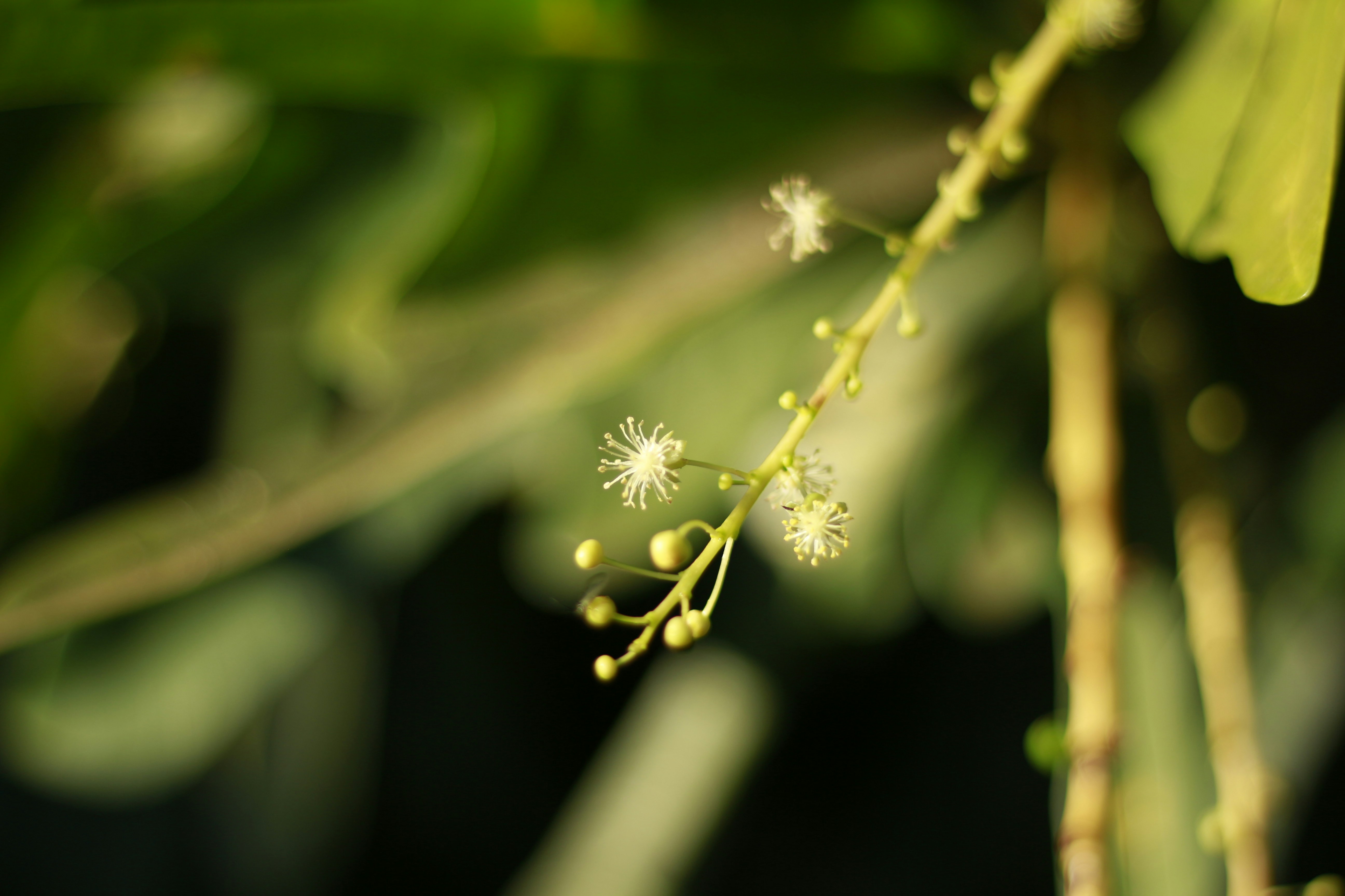 Photo by maribertanha