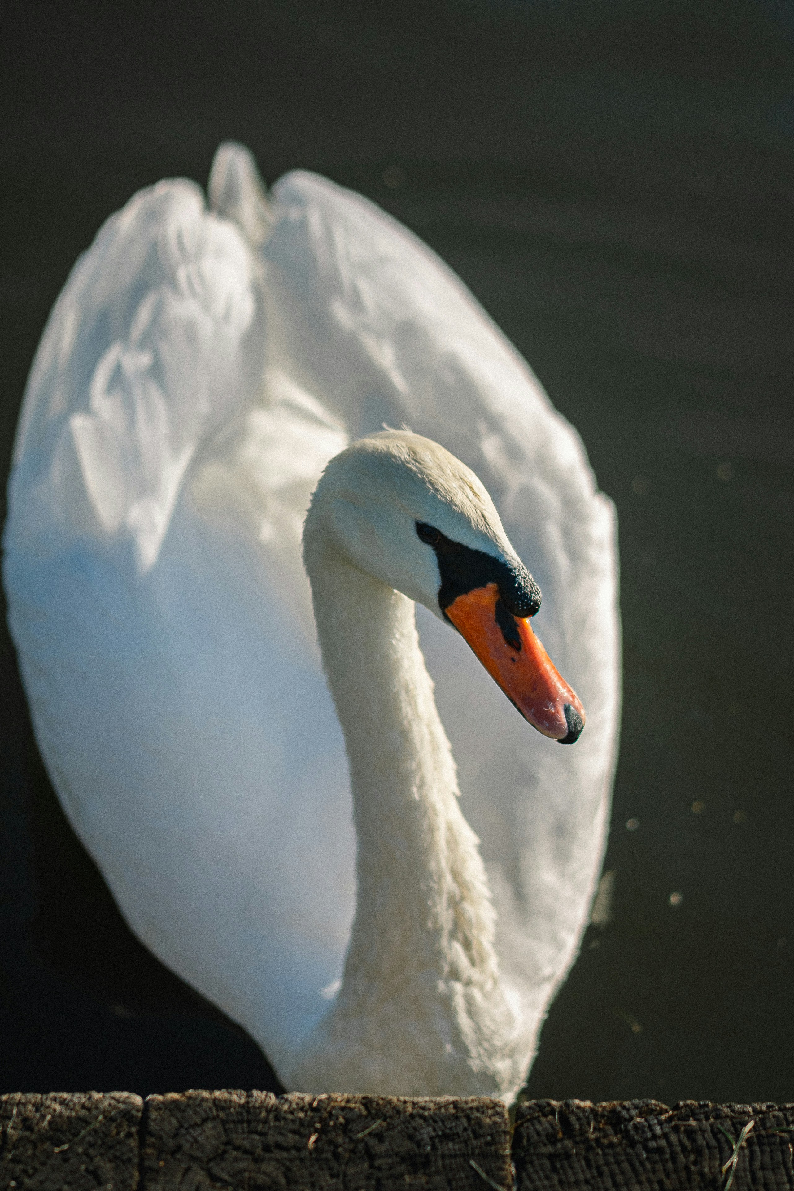 Photo by eugenechystiakov