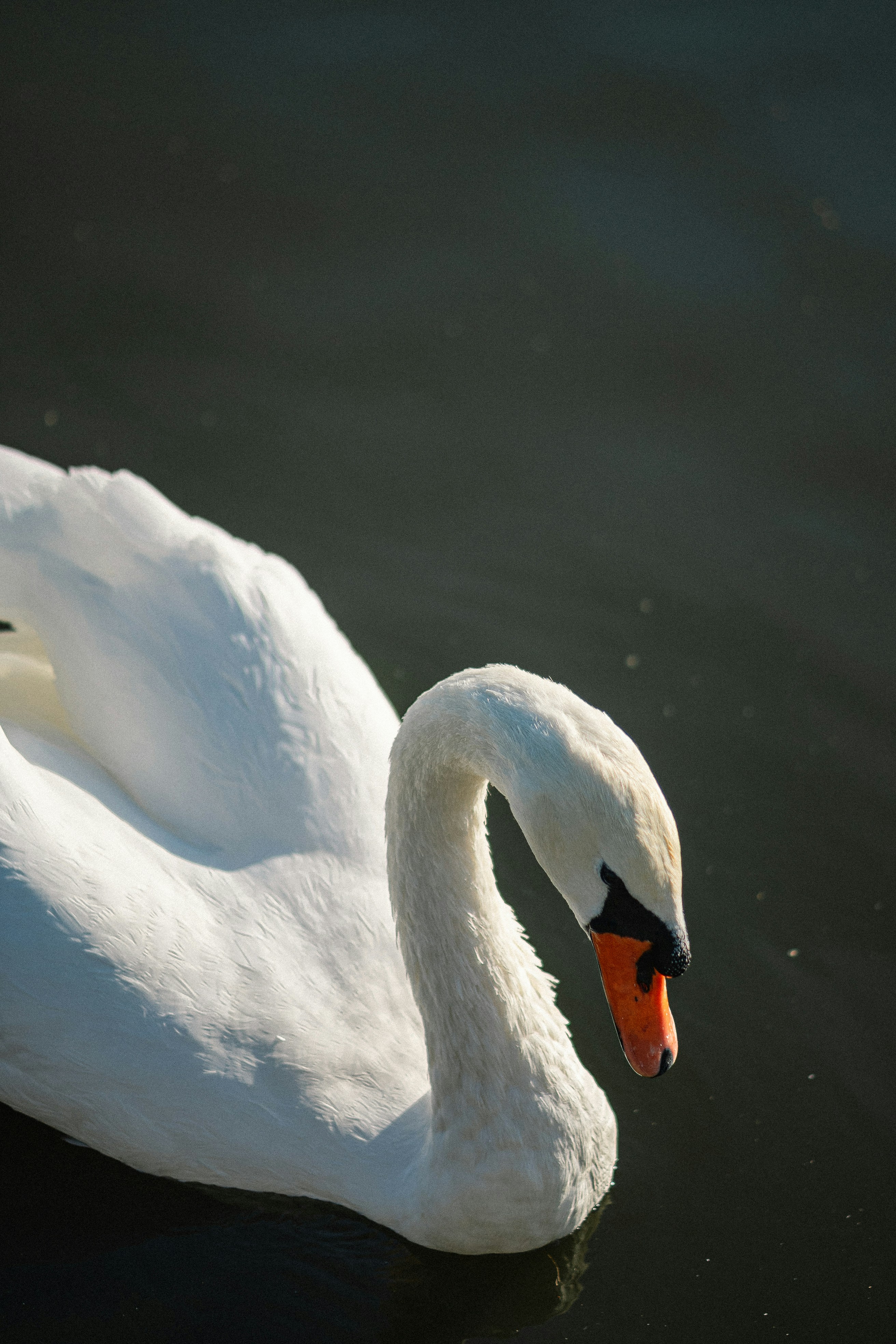 Photo by eugenechystiakov