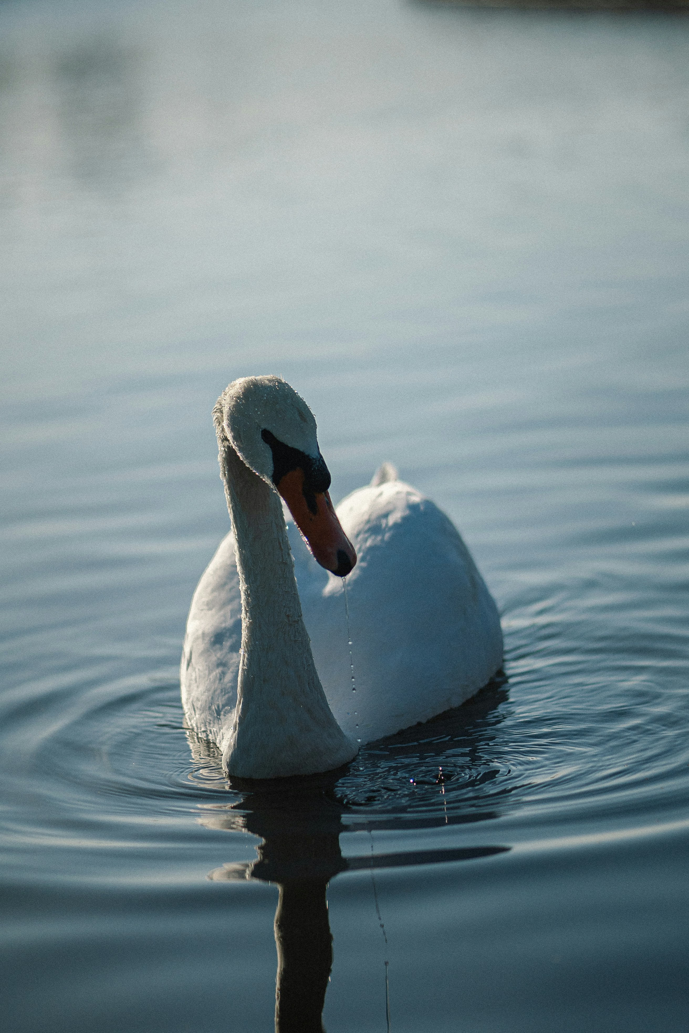 Photo by eugenechystiakov