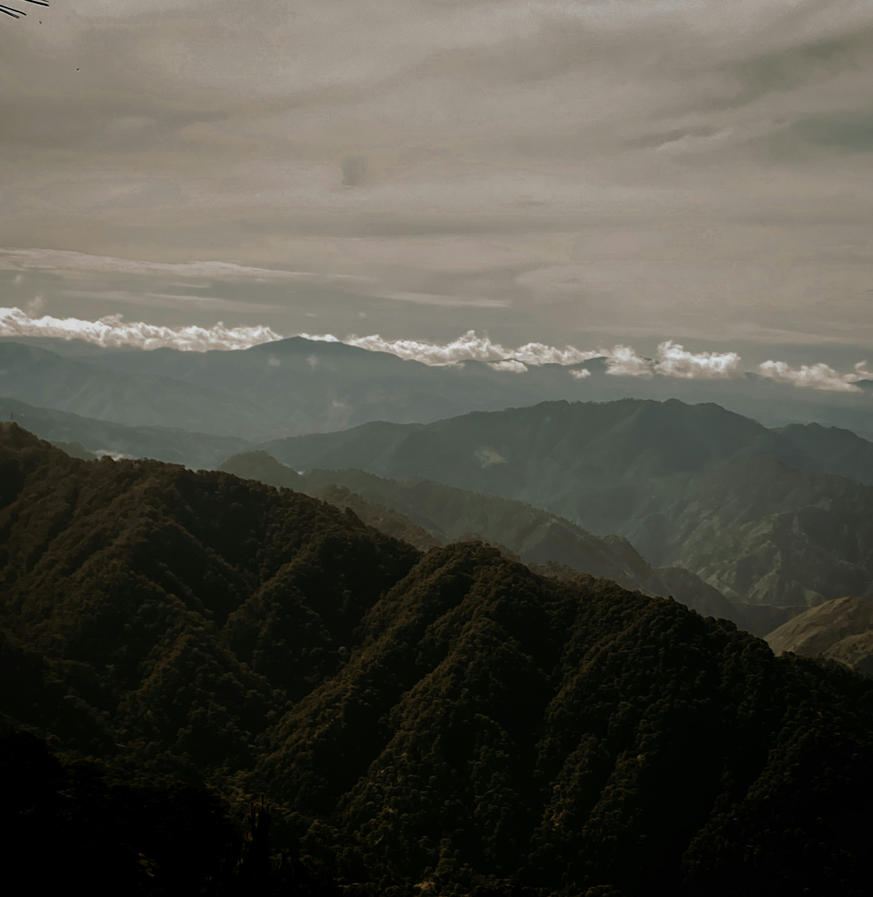 Photo by krizziakamil