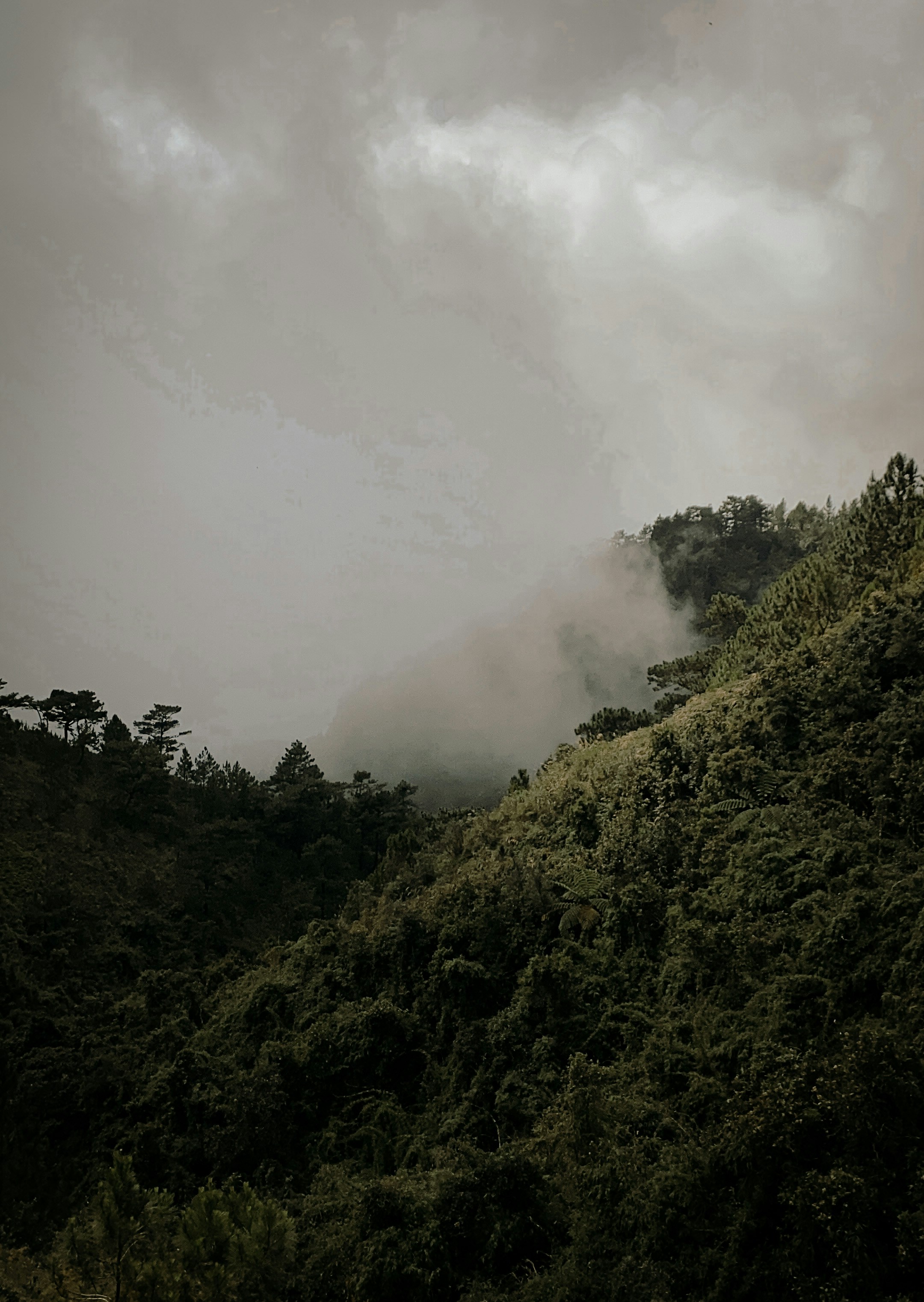 Photo by krizziakamil