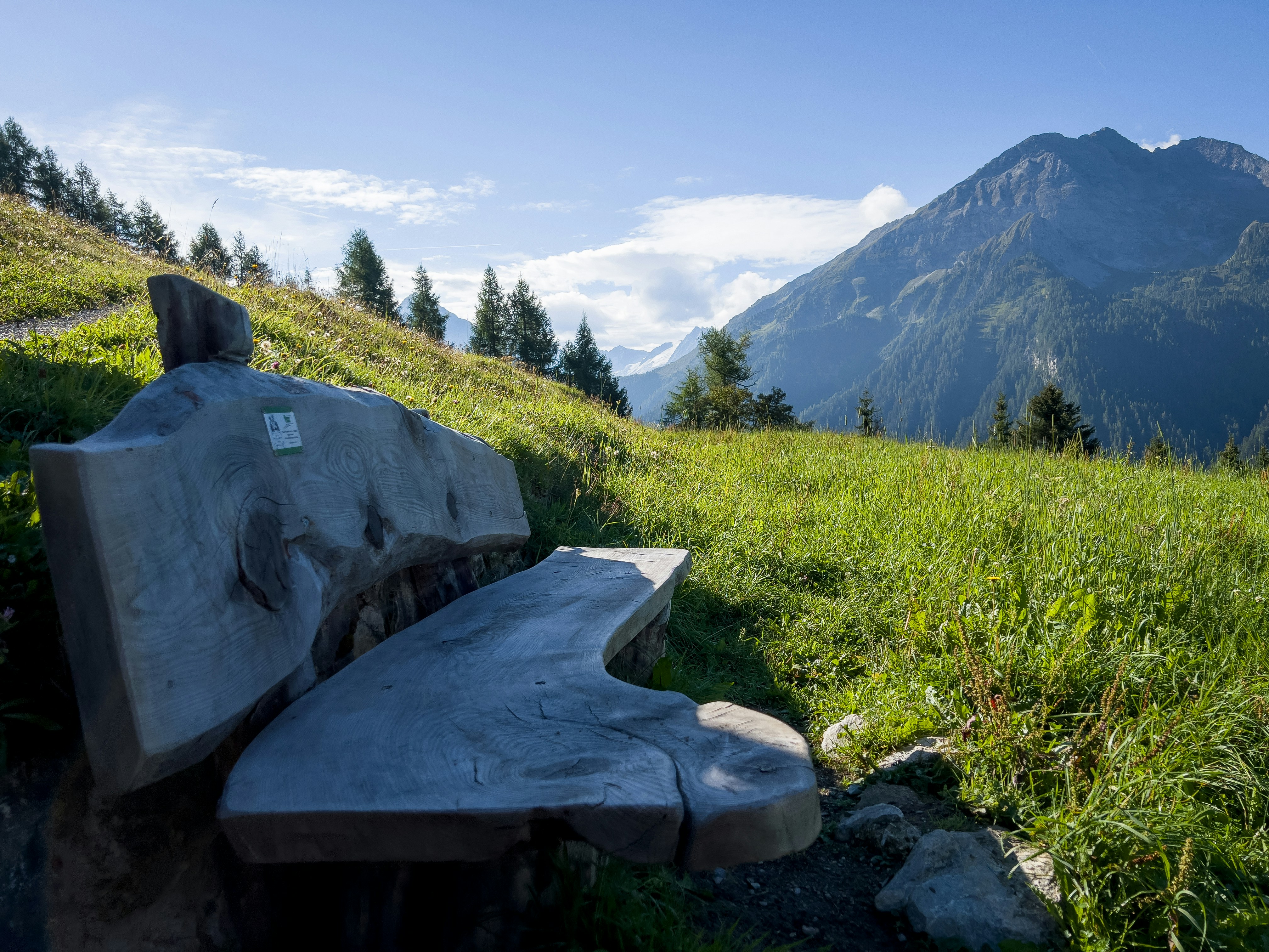 a bench sits in a grassy field