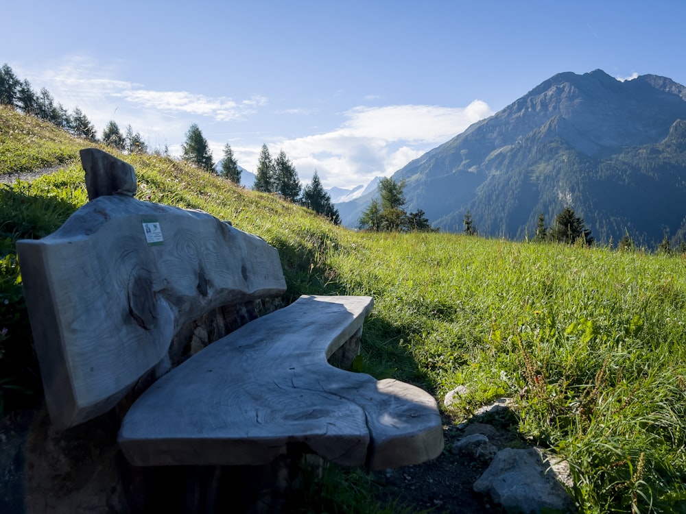 a bench sits in a grassy field