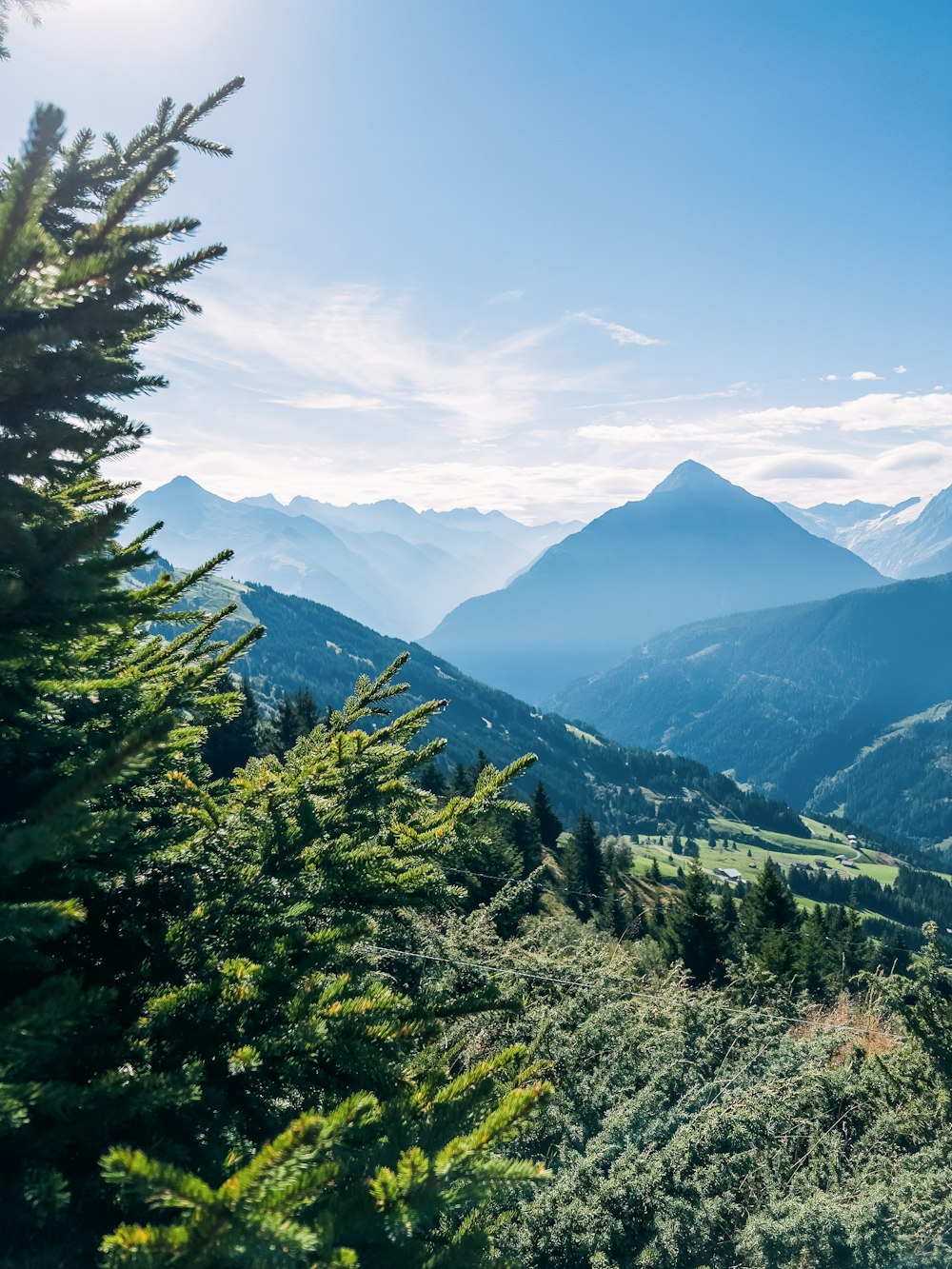 a view of a valley with trees and mountains in the background