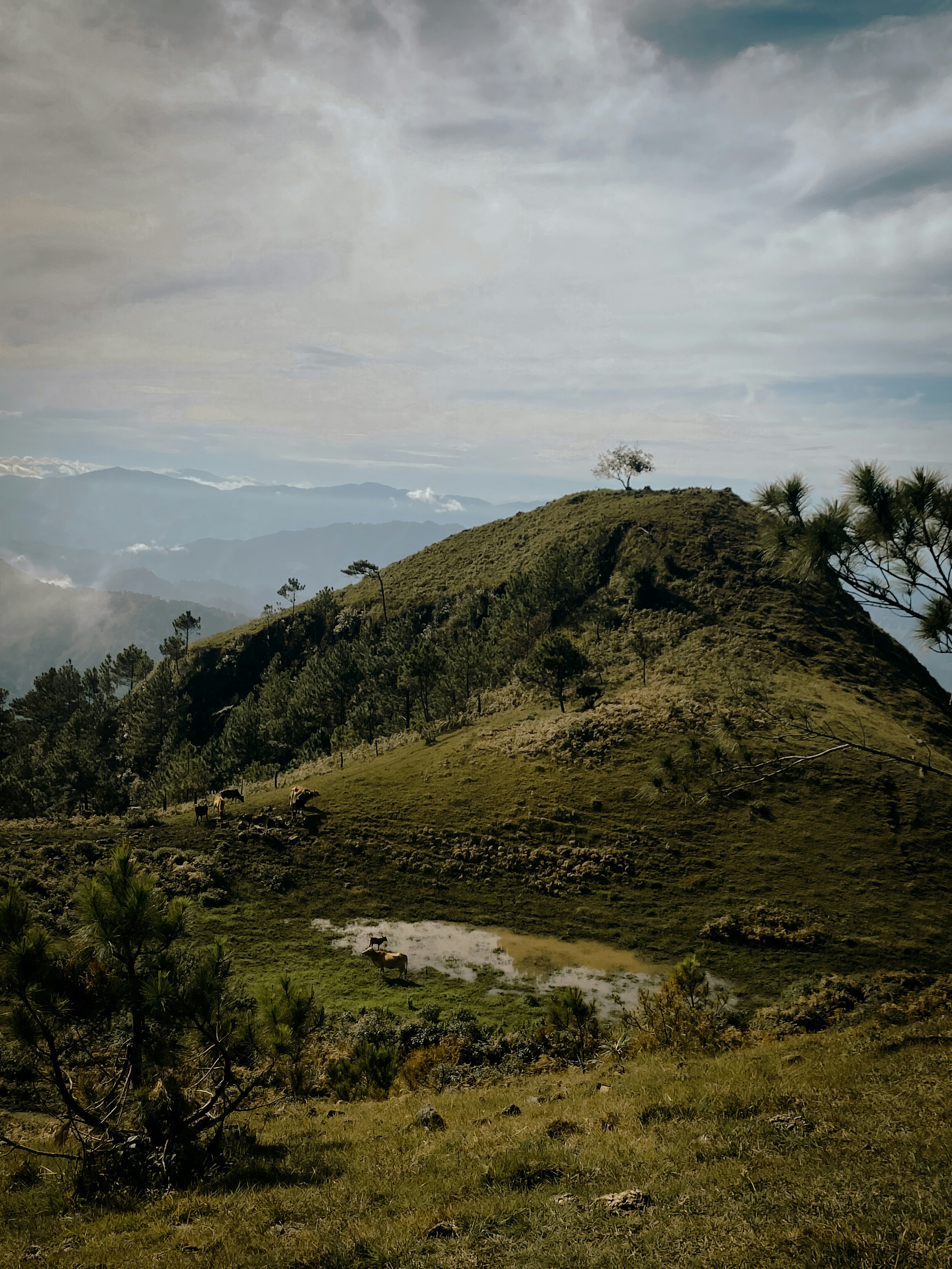 Photo by krizziakamil