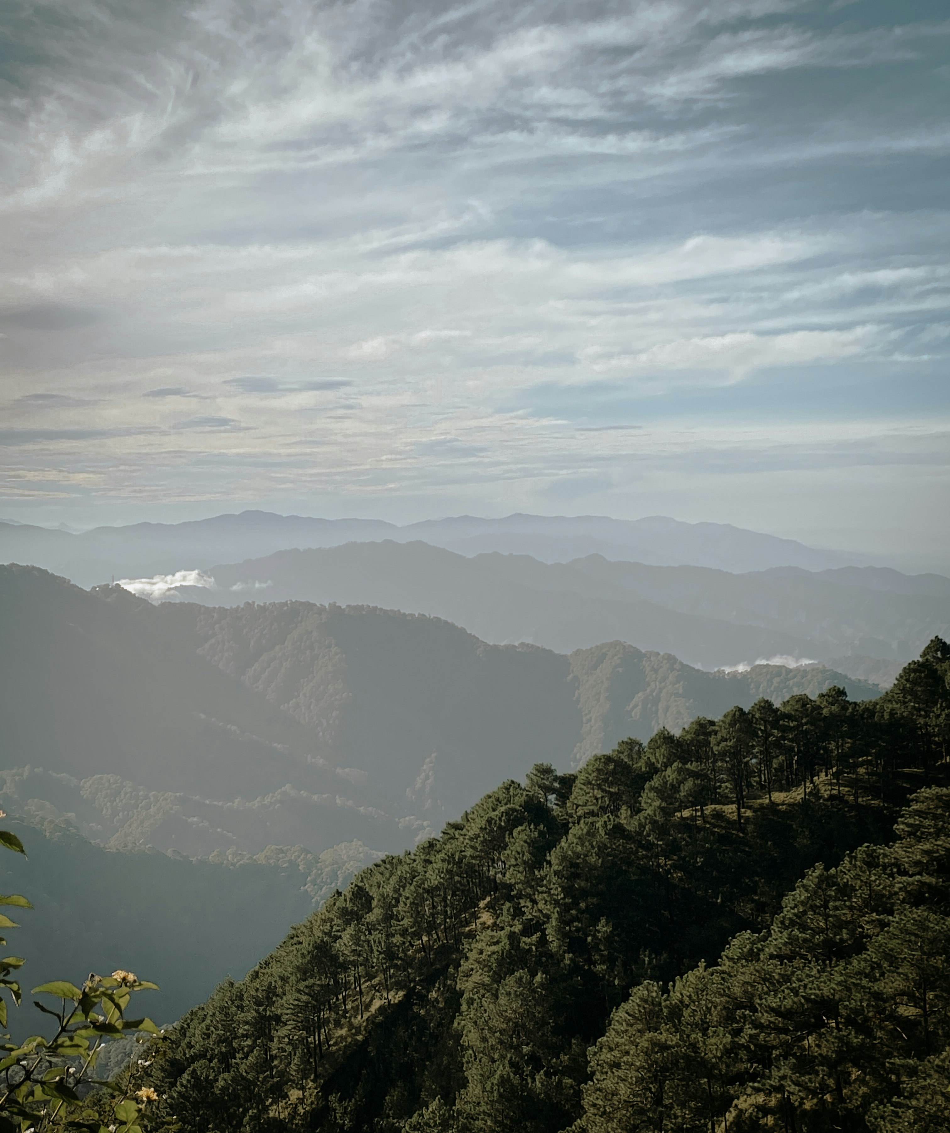 Photo by krizziakamil