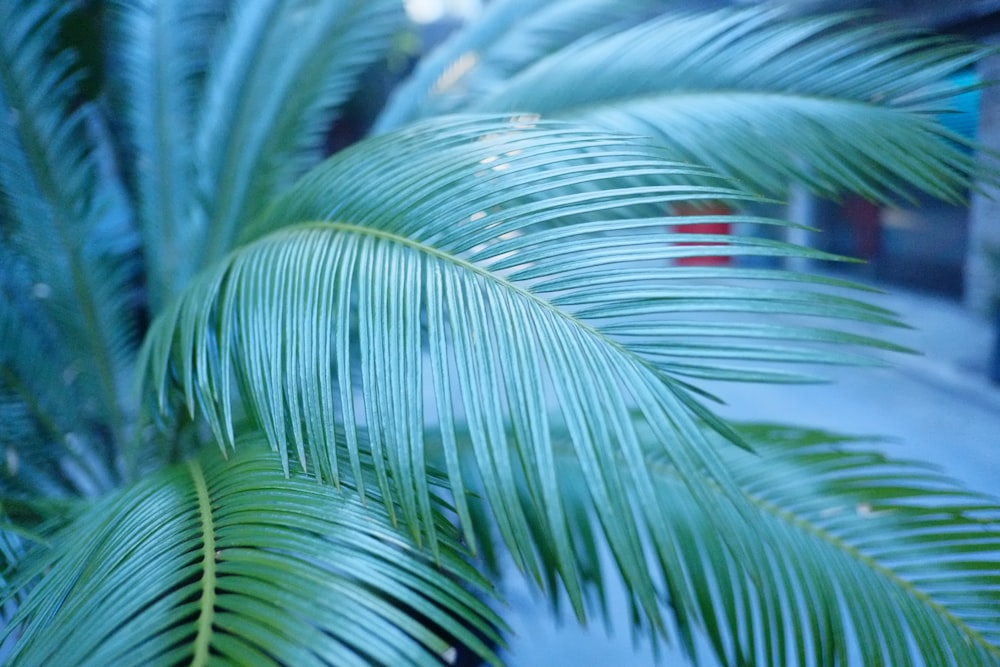 a close-up of some water