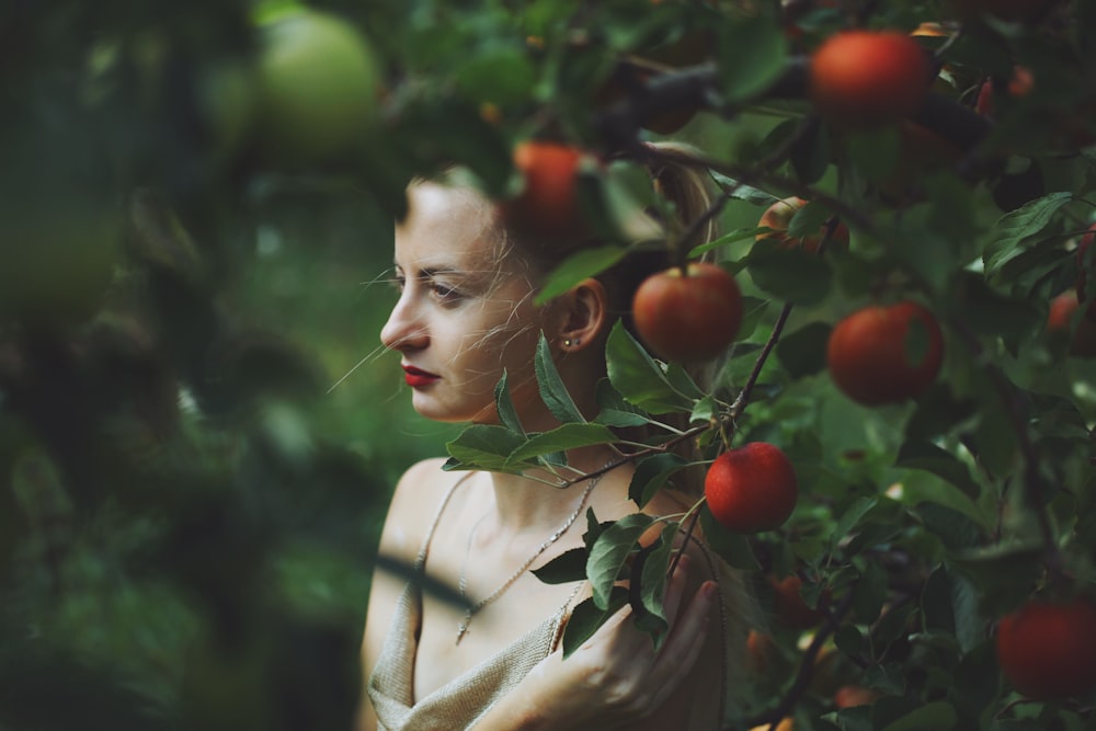 a person holding a tree with fruits