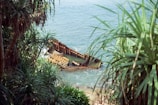 A rusted shipwreck partially submerged in clear blue ocean waters, surrounded by lush green tropical vegetation. The scene is visible from a vantage point above, with the metallic structure contrasting against the natural surroundings.