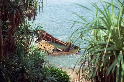 A rusted shipwreck partially submerged in clear blue ocean waters, surrounded by lush green tropical vegetation. The scene is visible from a vantage point above, with the metallic structure contrasting against the natural surroundings.