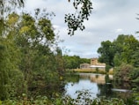 A serene landscape that embodies the essence of study and exploration.